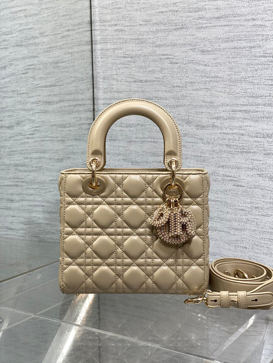 BAG-DIOR-W-LY-737