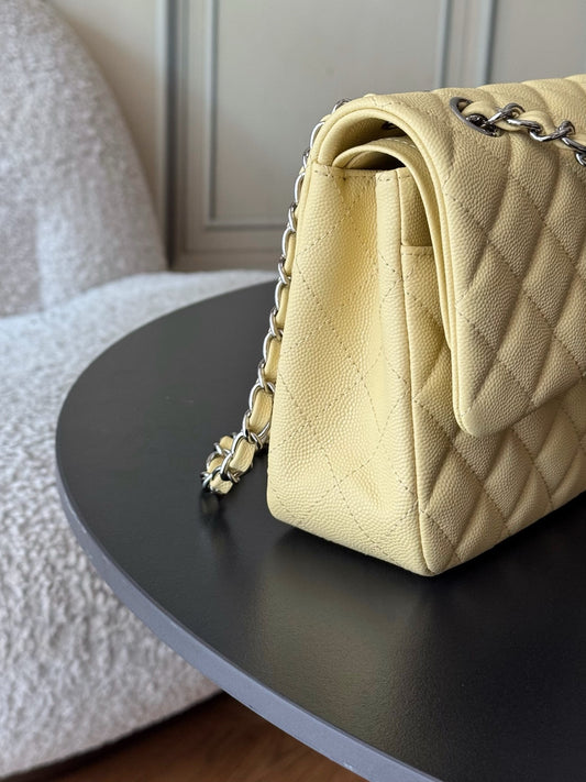 BAG-CHANEL-088