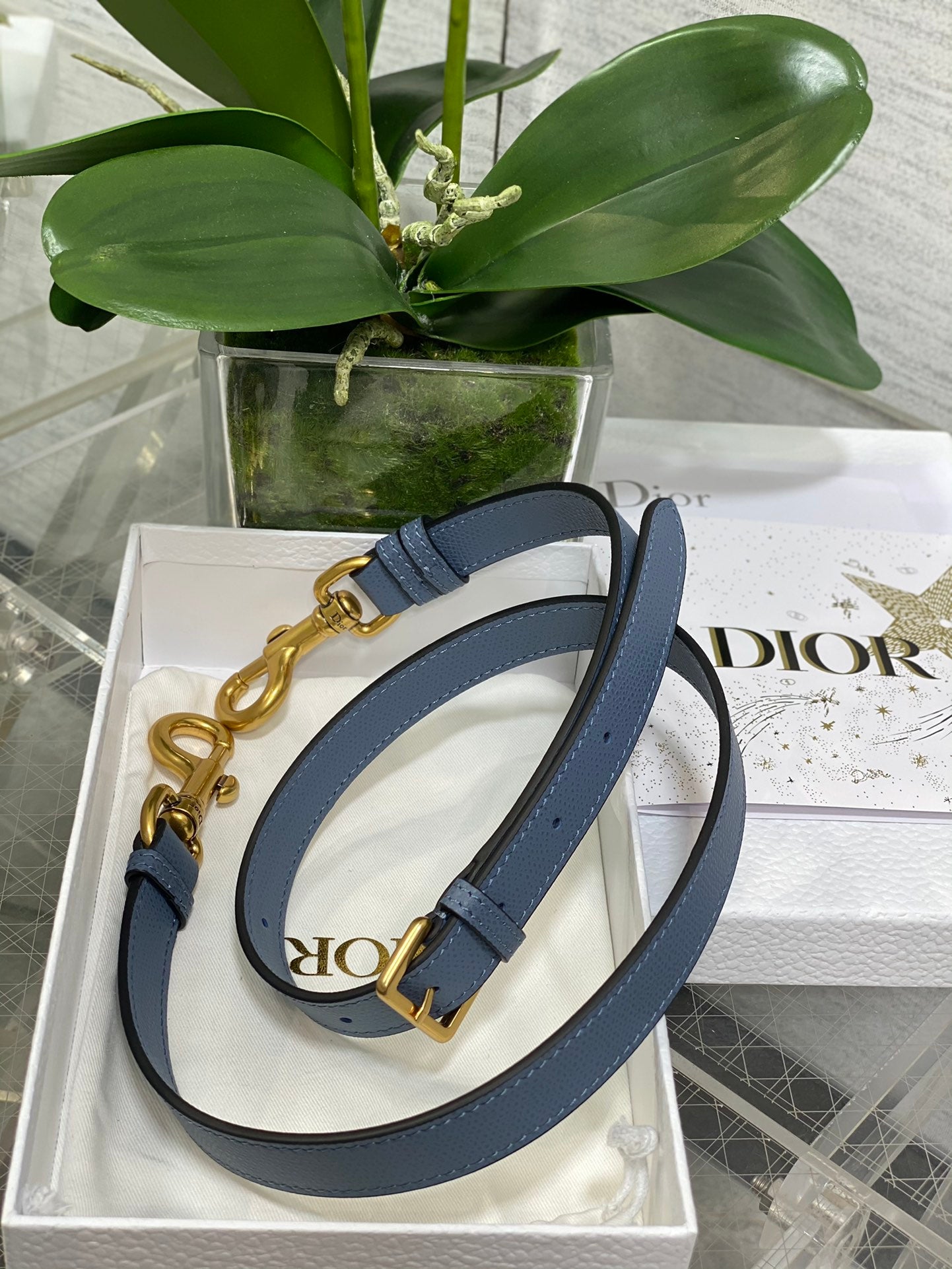 BAG-DIOR-W-LY-133