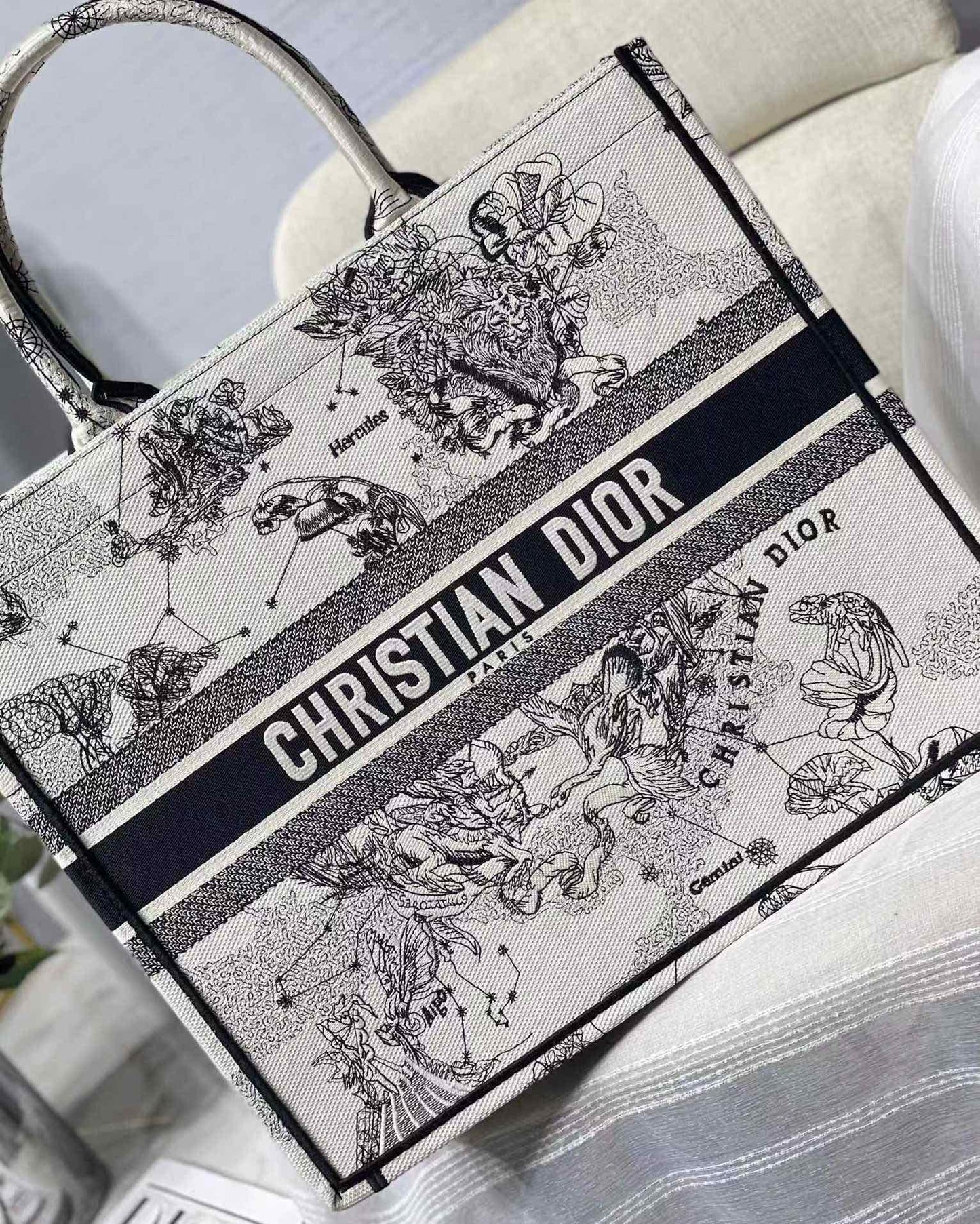 BAG-DIOR-W-LY-904