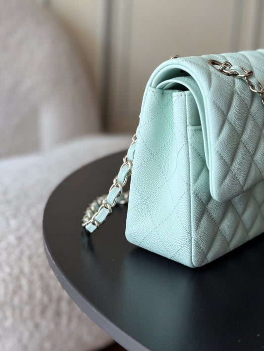BAG-CHANEL-121