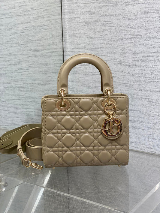 BAG-DIOR-W-LY-161