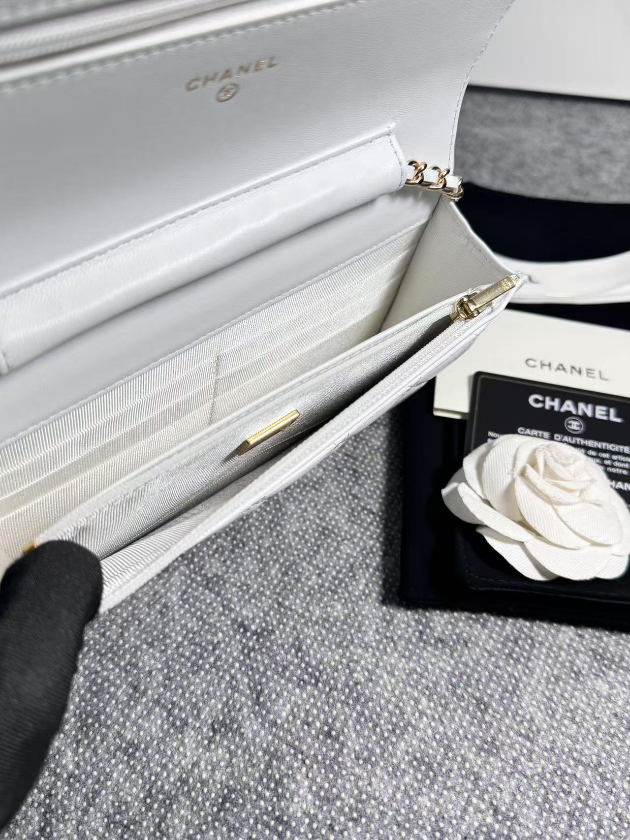 BAG-CHANEL-149