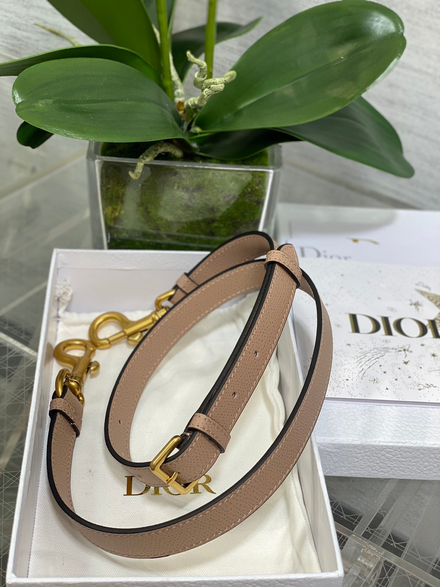 BAG-DIOR-W-LY-136