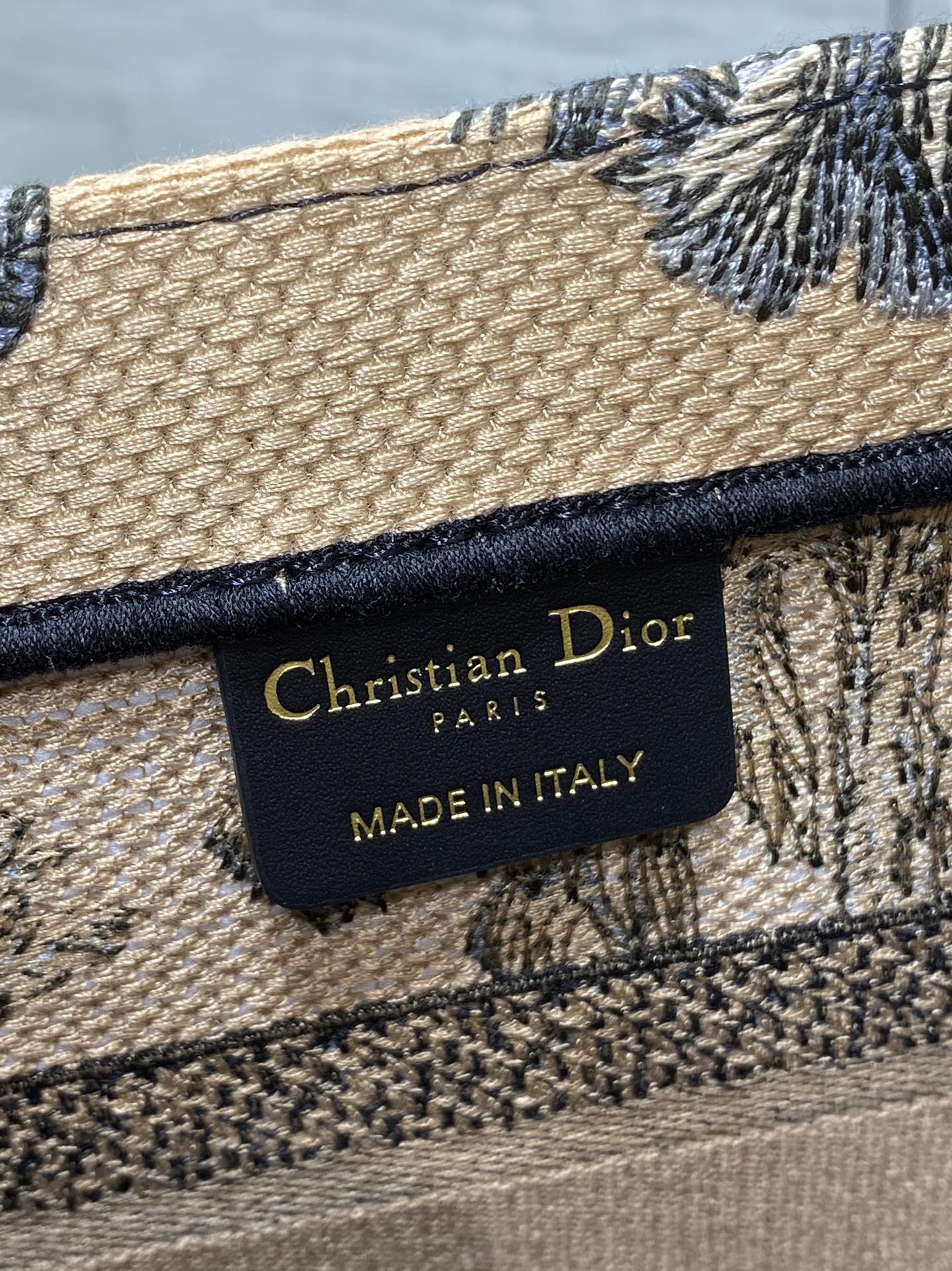 BAG-DIOR-W-LY-899