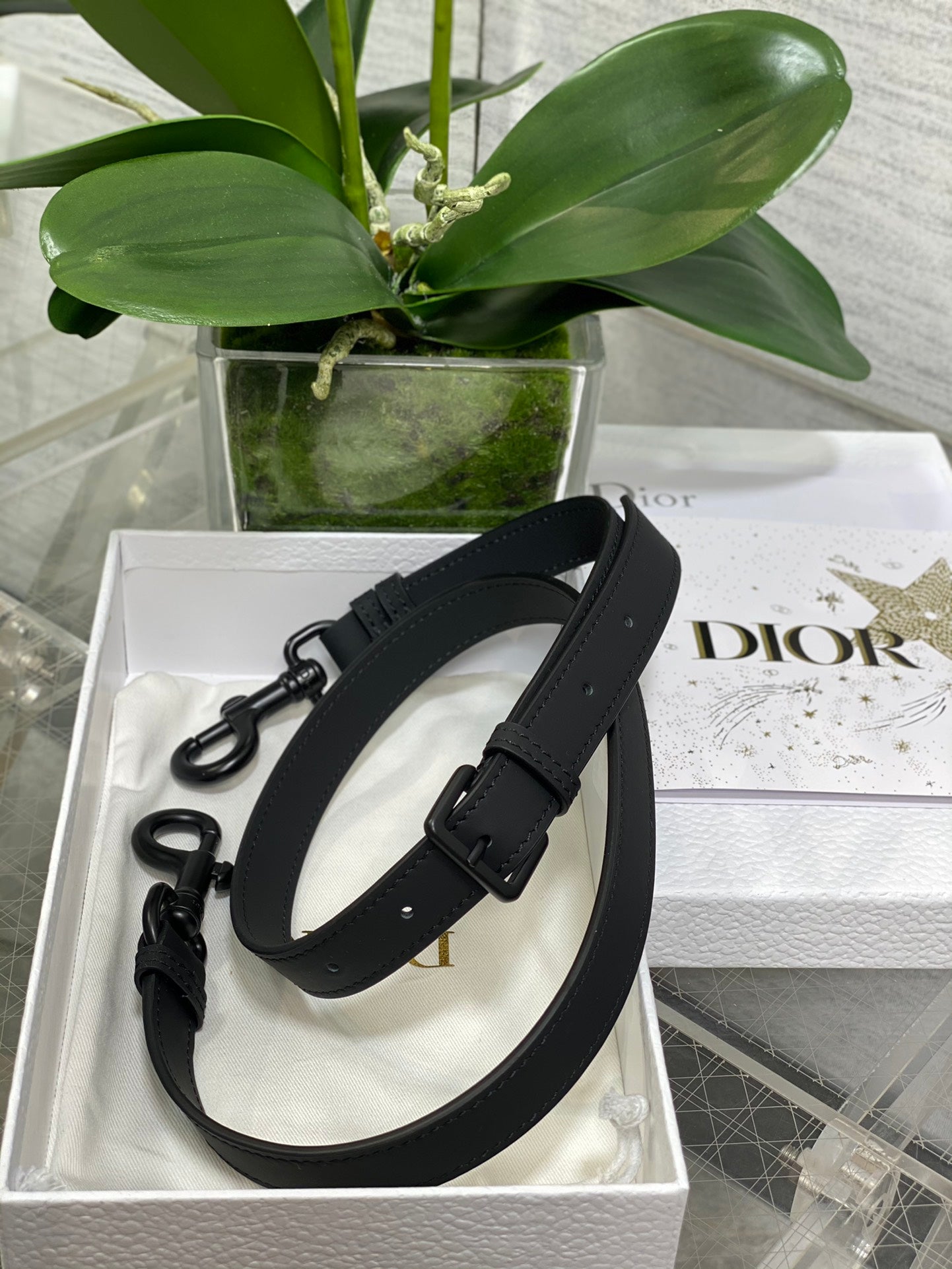BAG-DIOR-W-LY-107