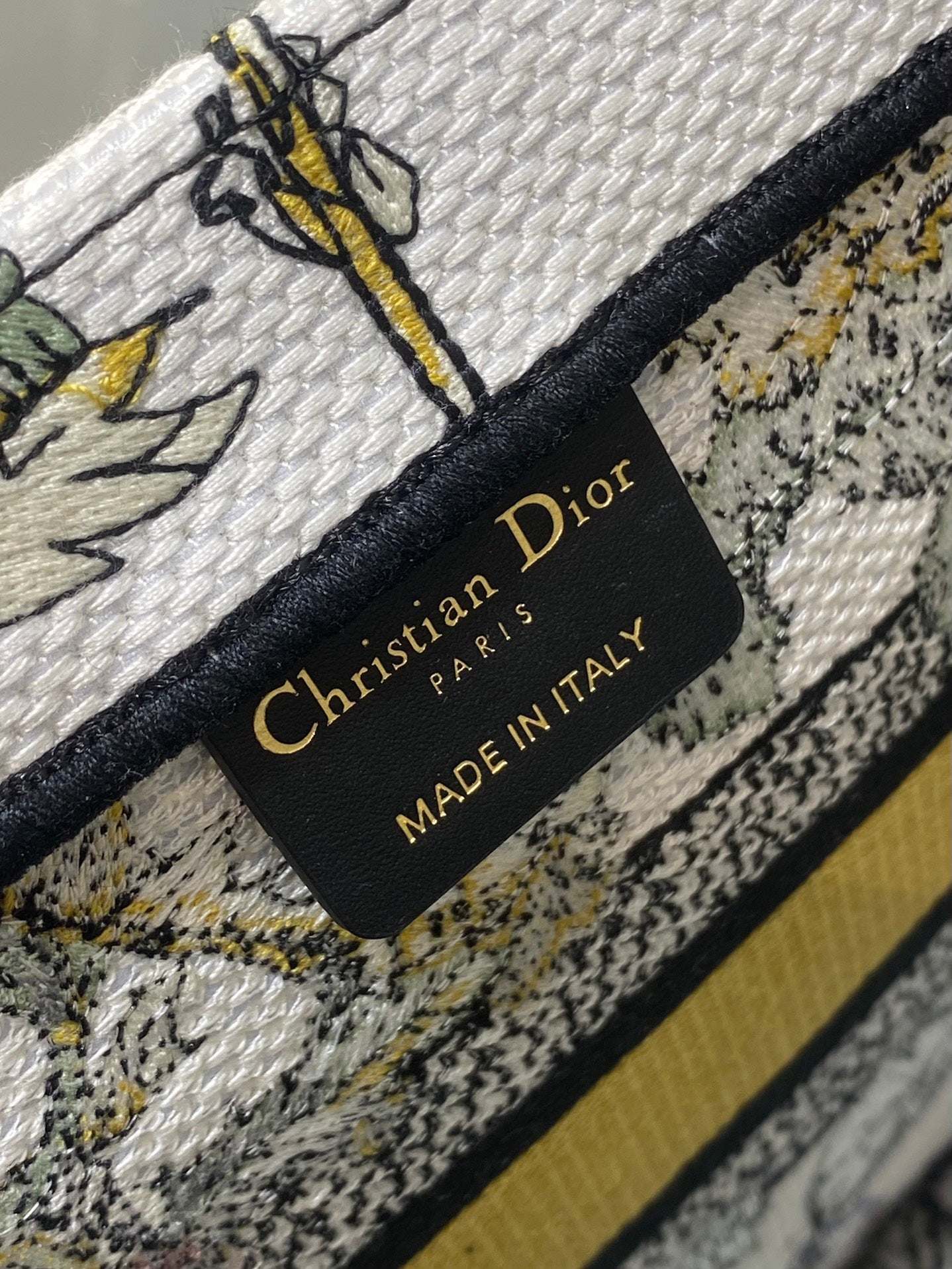 BAG-DIOR-W-LY-860