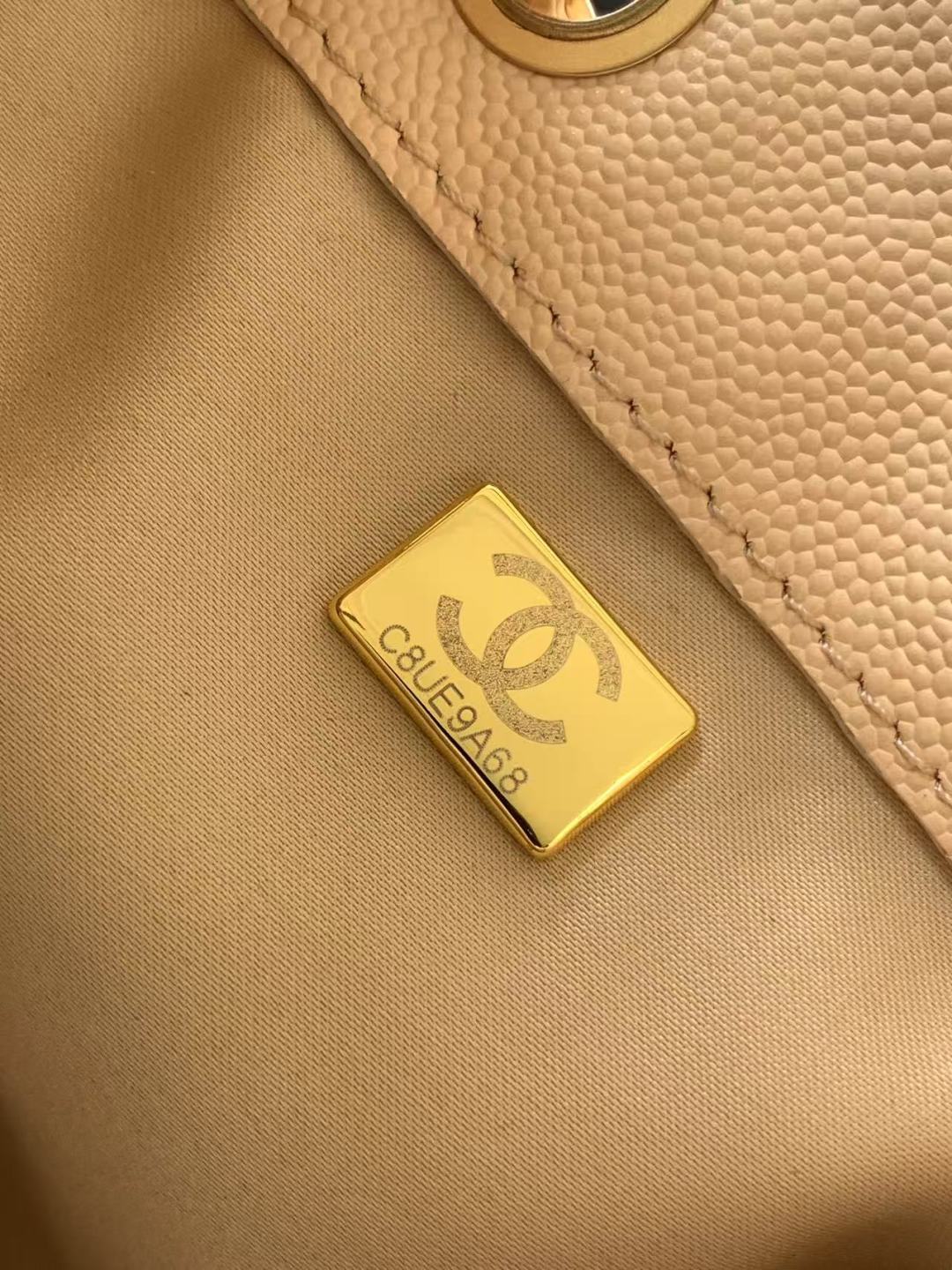 BAG-CHANEL-203