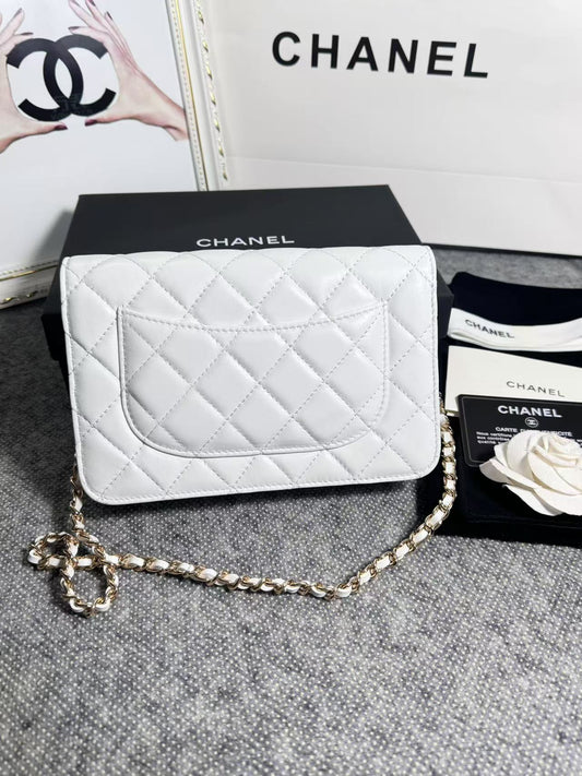 BAG-CHANEL-149
