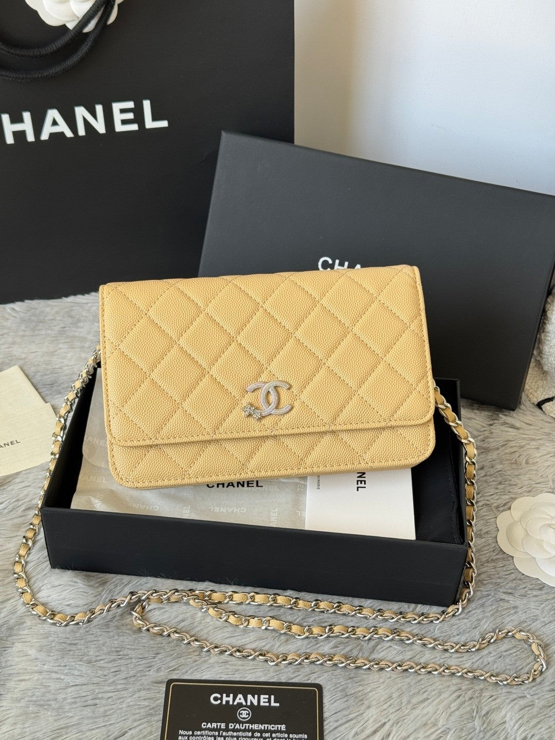 BAG-CHANEL-017