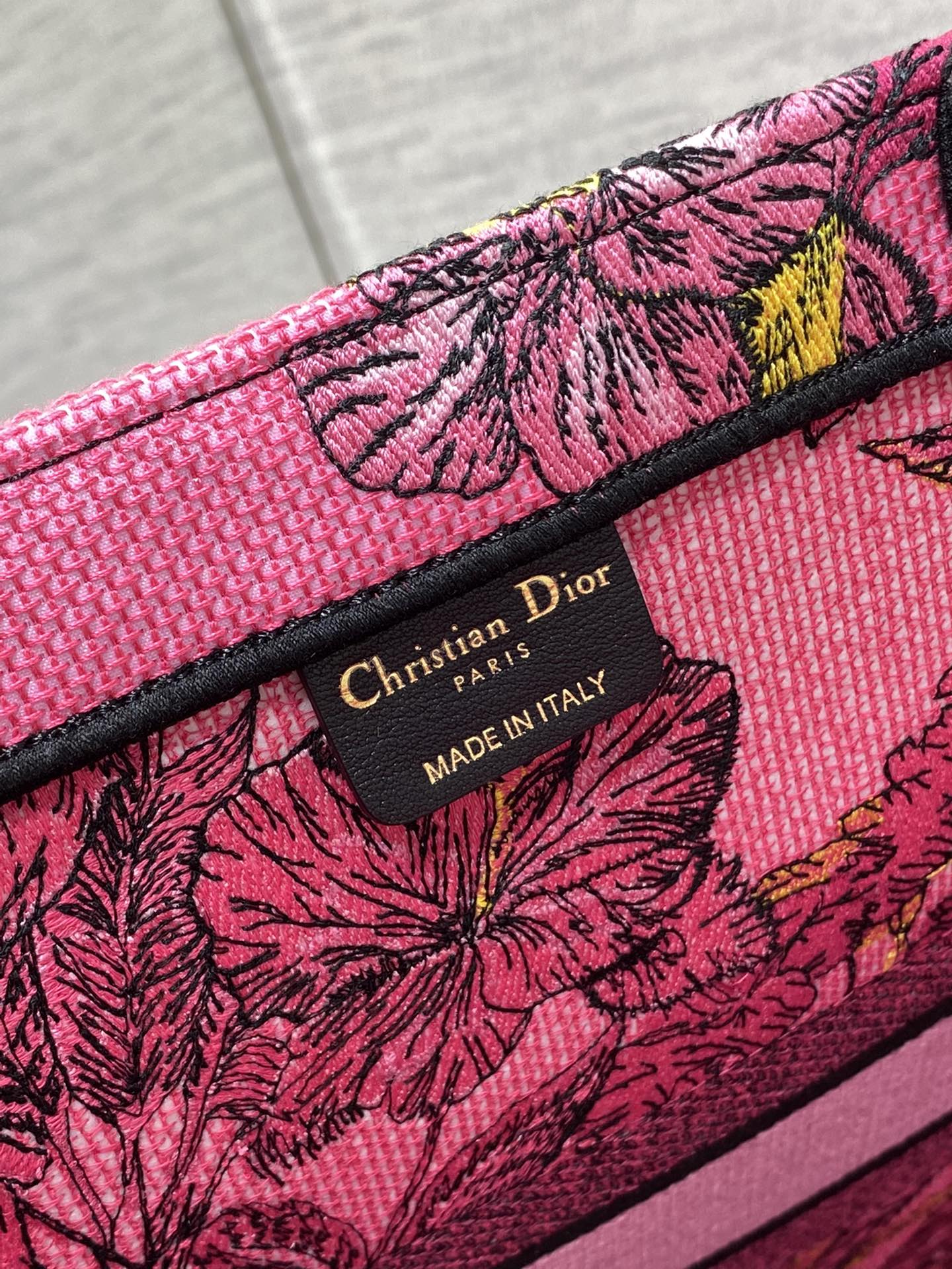BAG-DIOR-W-LY-865
