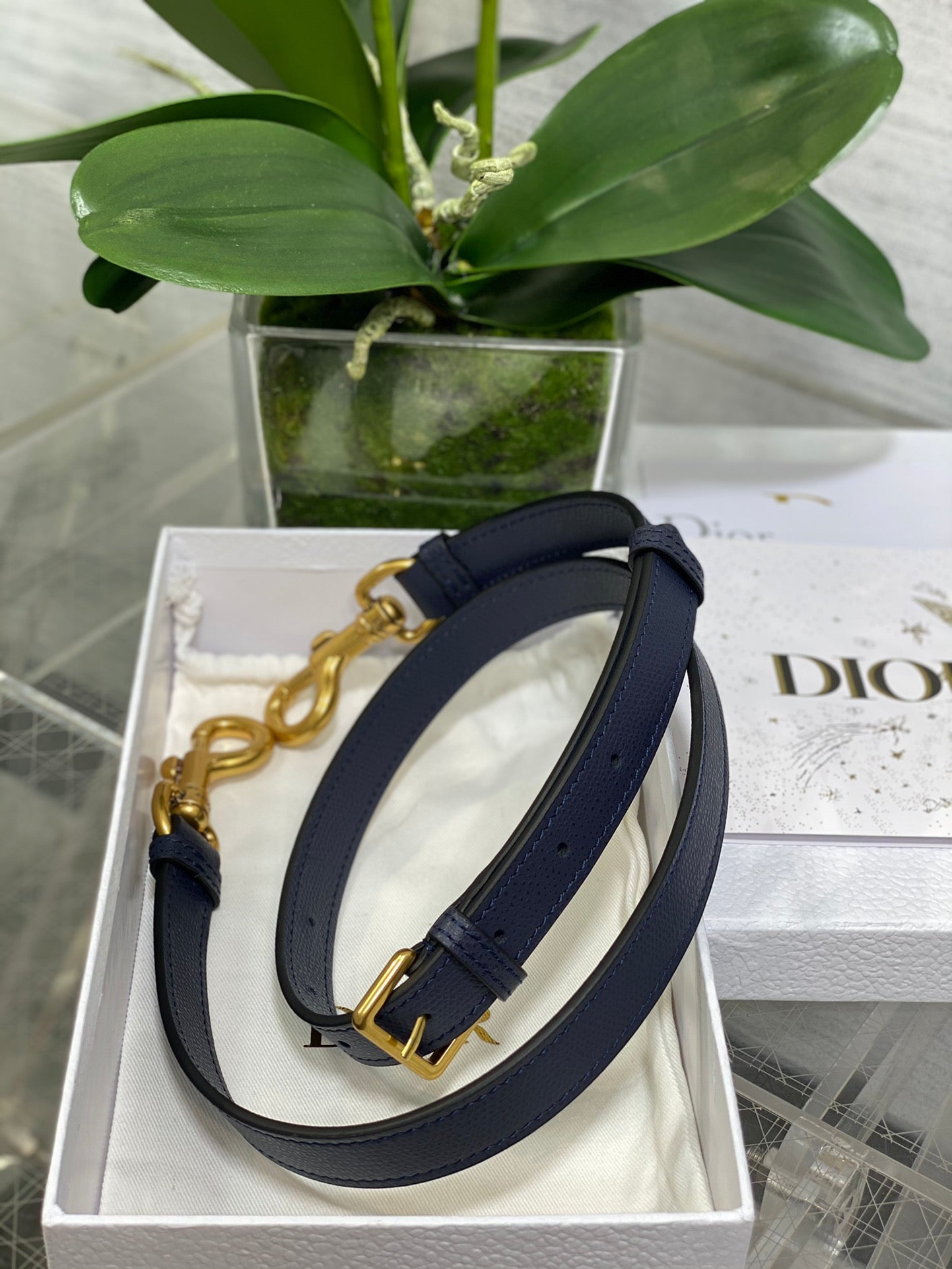 BAG-DIOR-W-LY-146