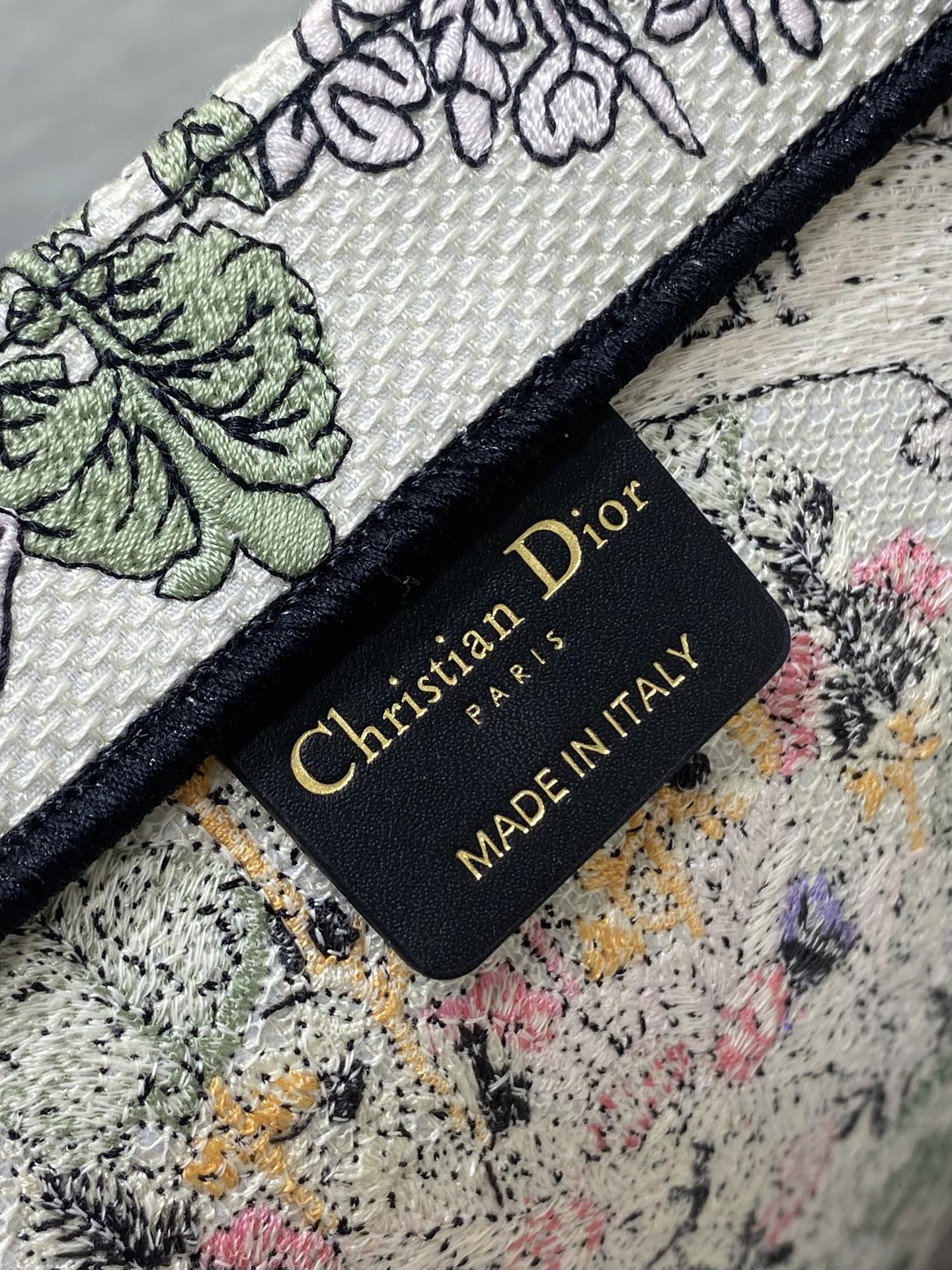 BAG-DIOR-W-LY-844