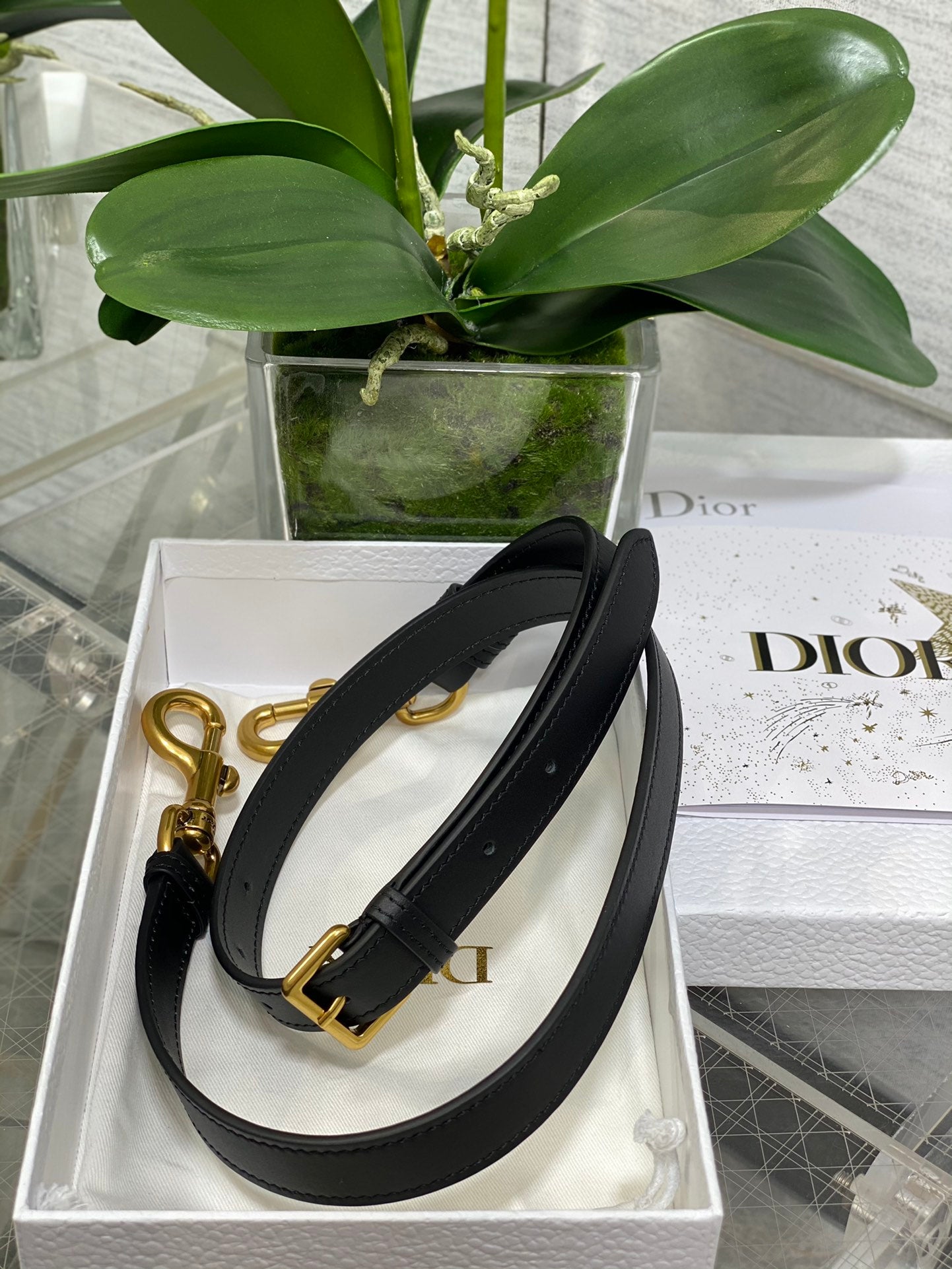 BAG-DIOR-W-LY-175