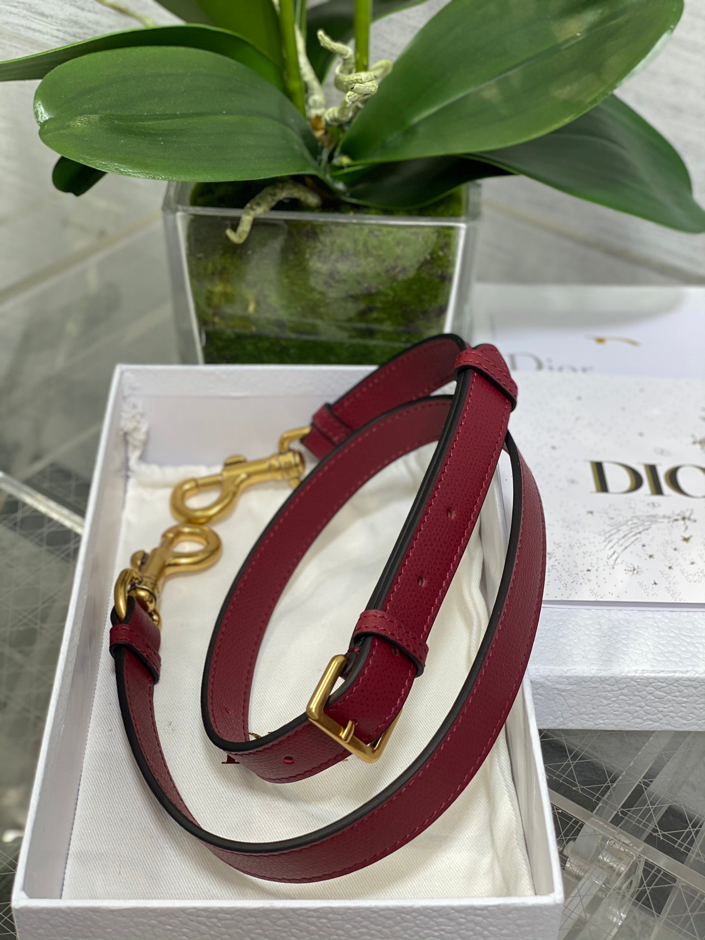 BAG-DIOR-W-LY-176