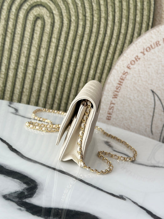 BAG-CHANEL-186