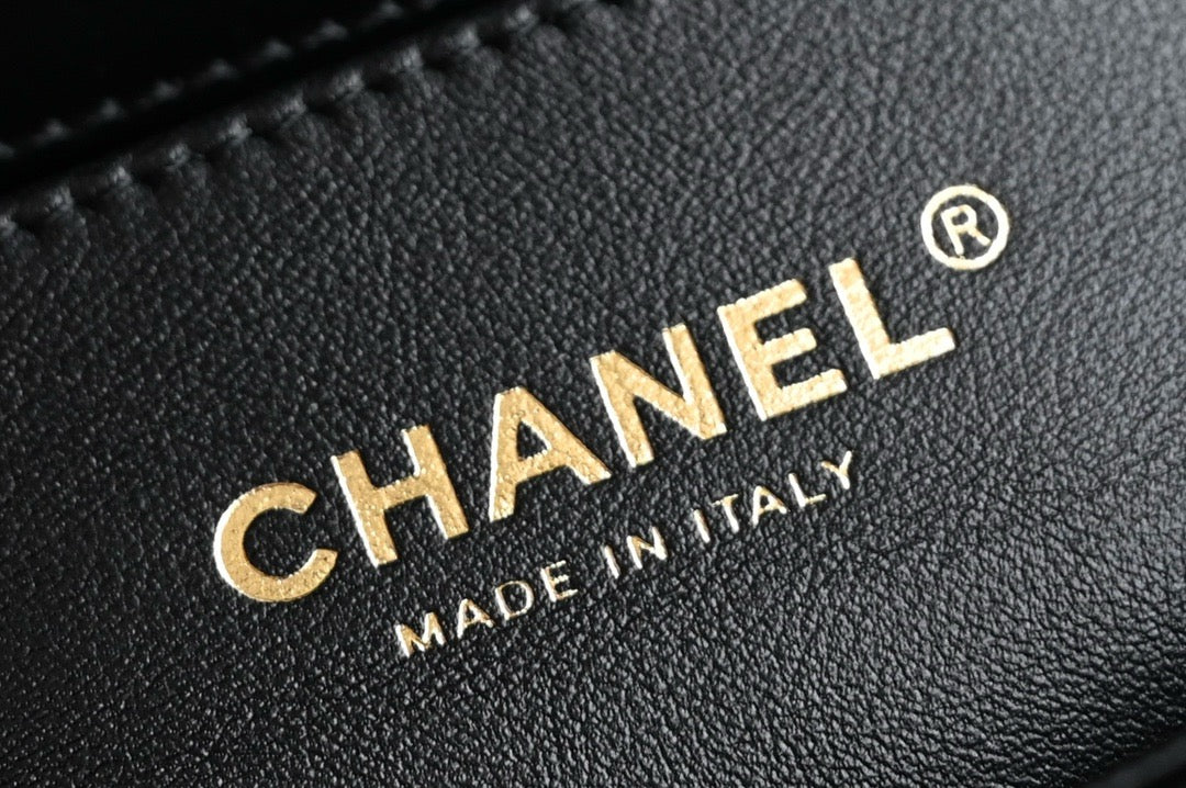 BAG-CHANEL-194