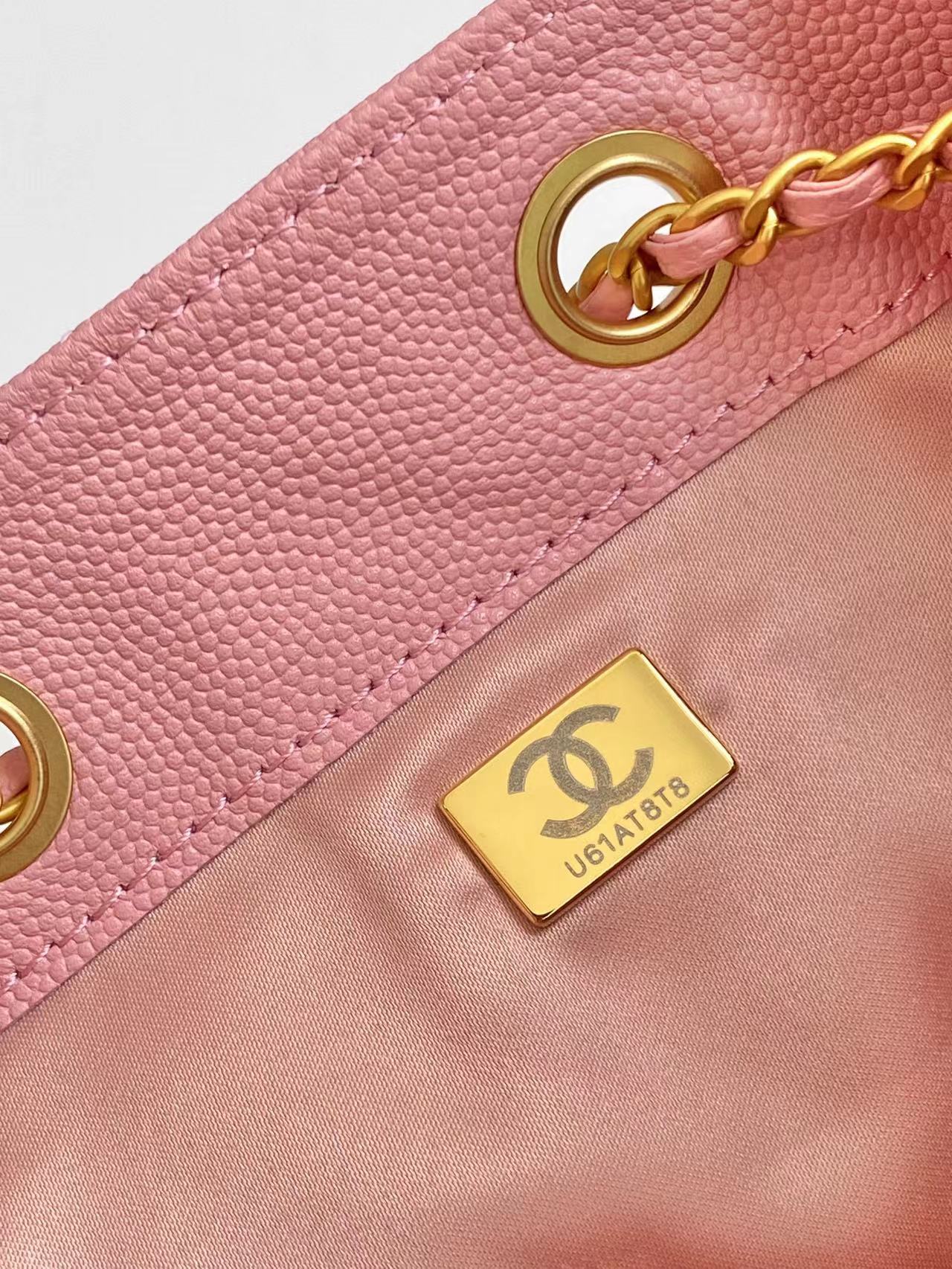 BAG-CHANEL-223