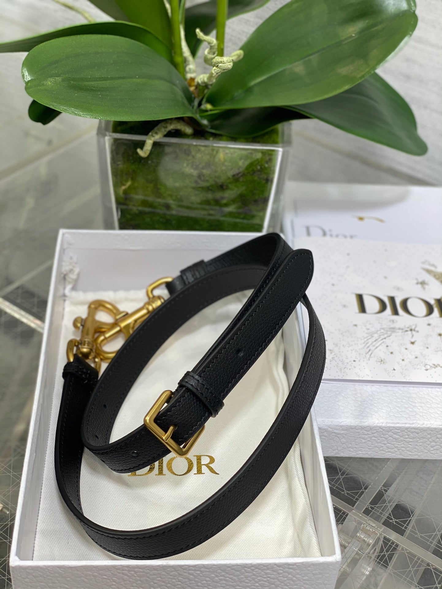 BAG-DIOR-W-LY-127