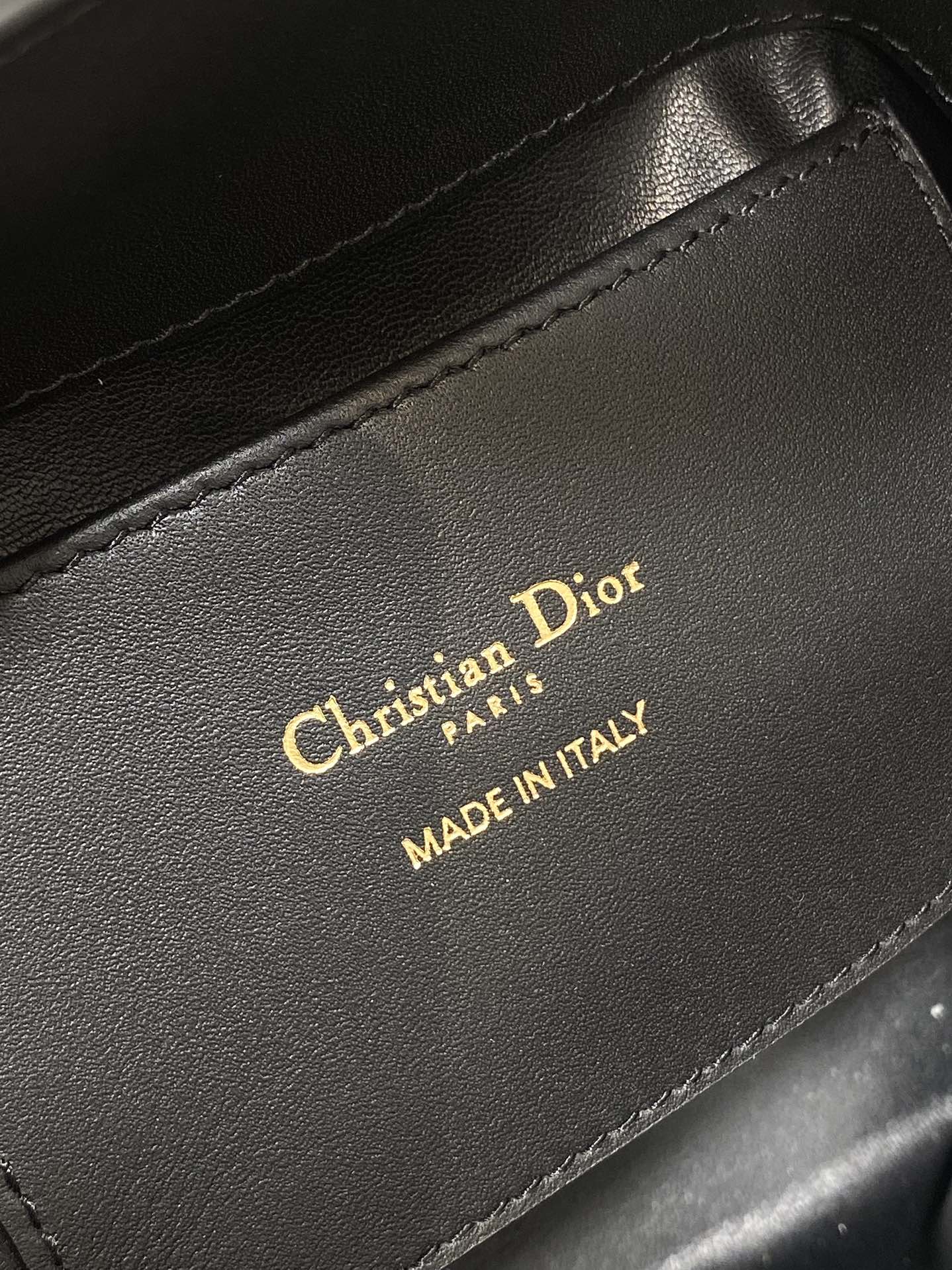 BAG-DIOR-W-LY-059