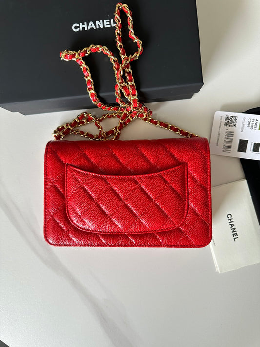 BAG-CHANEL-541