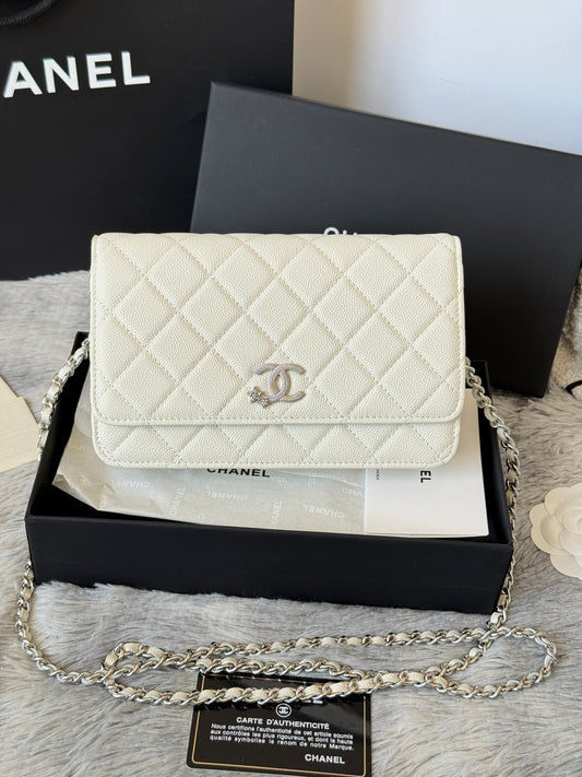 BAG-CHANEL-017