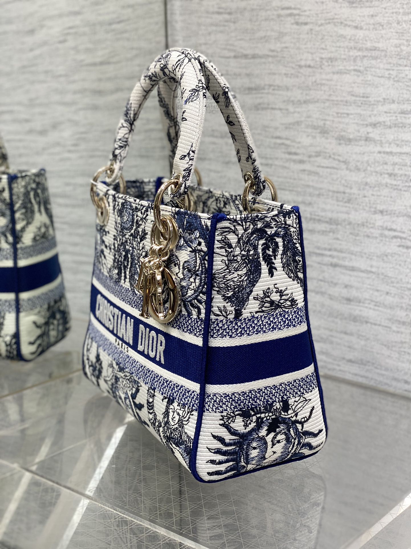 BAG-DIOR-W-LY-451