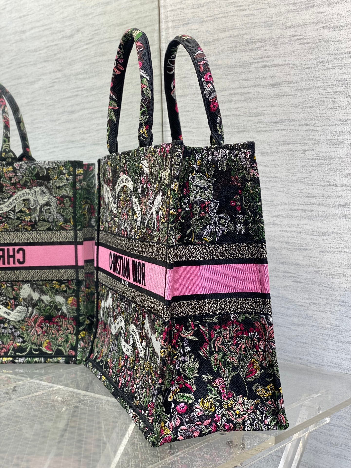 BAG-DIOR-W-LY-873