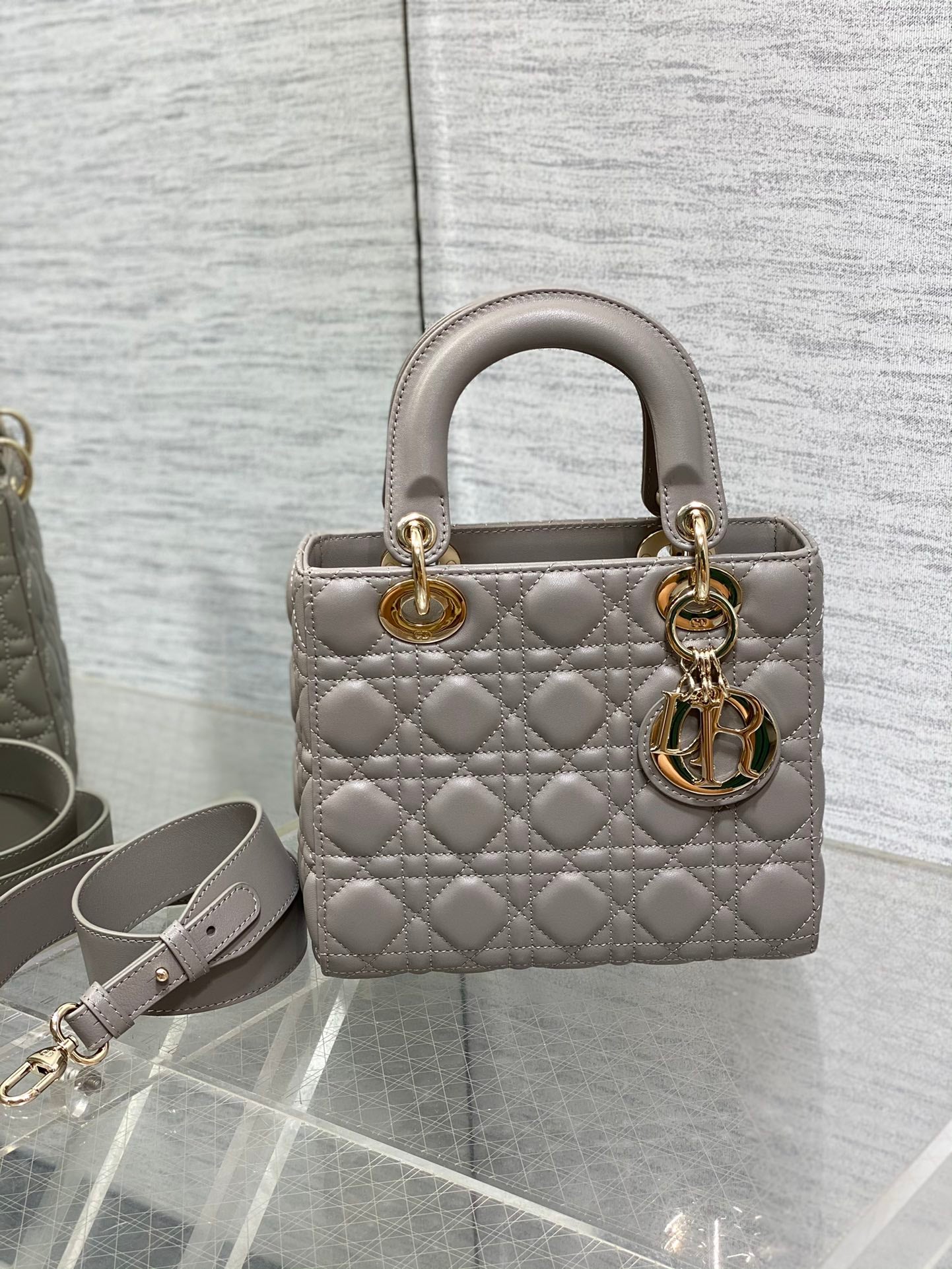 BAG-DIOR-W-LY-641