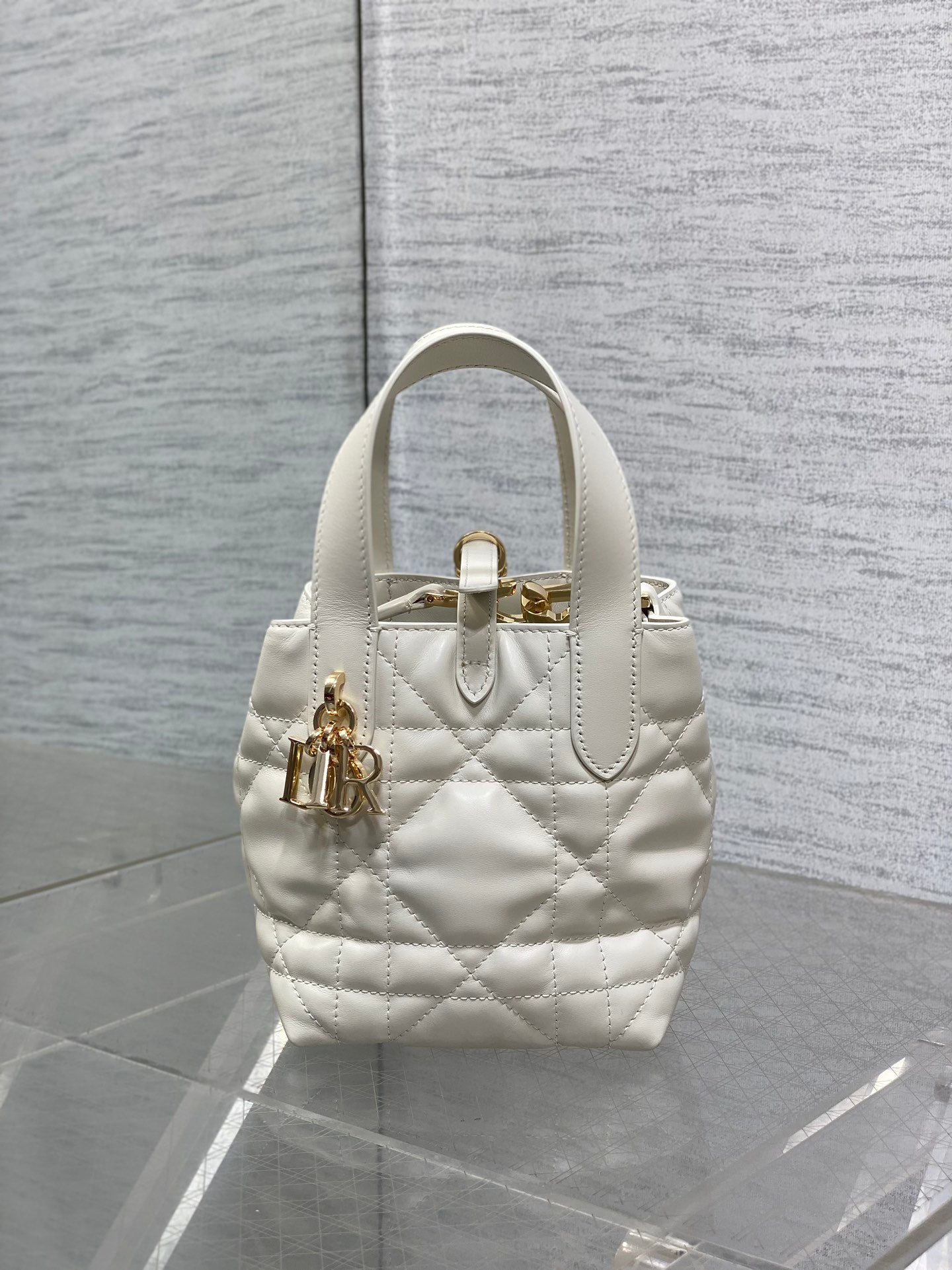 BAG-DIOR-W-LY-057