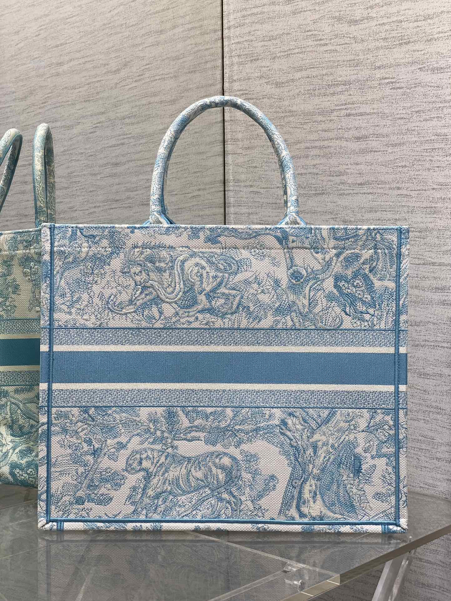 BAG-DIOR-W-LY-934