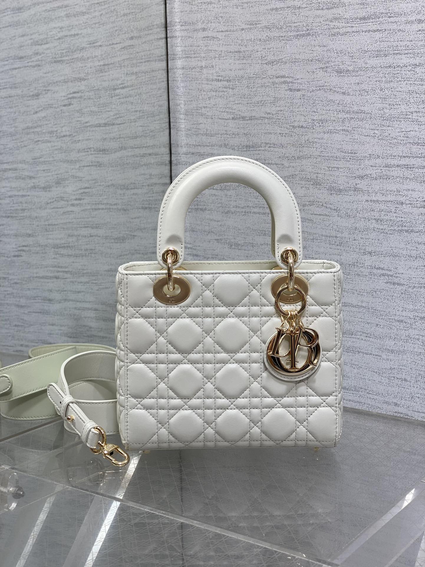 BAG-DIOR-W-LY-162