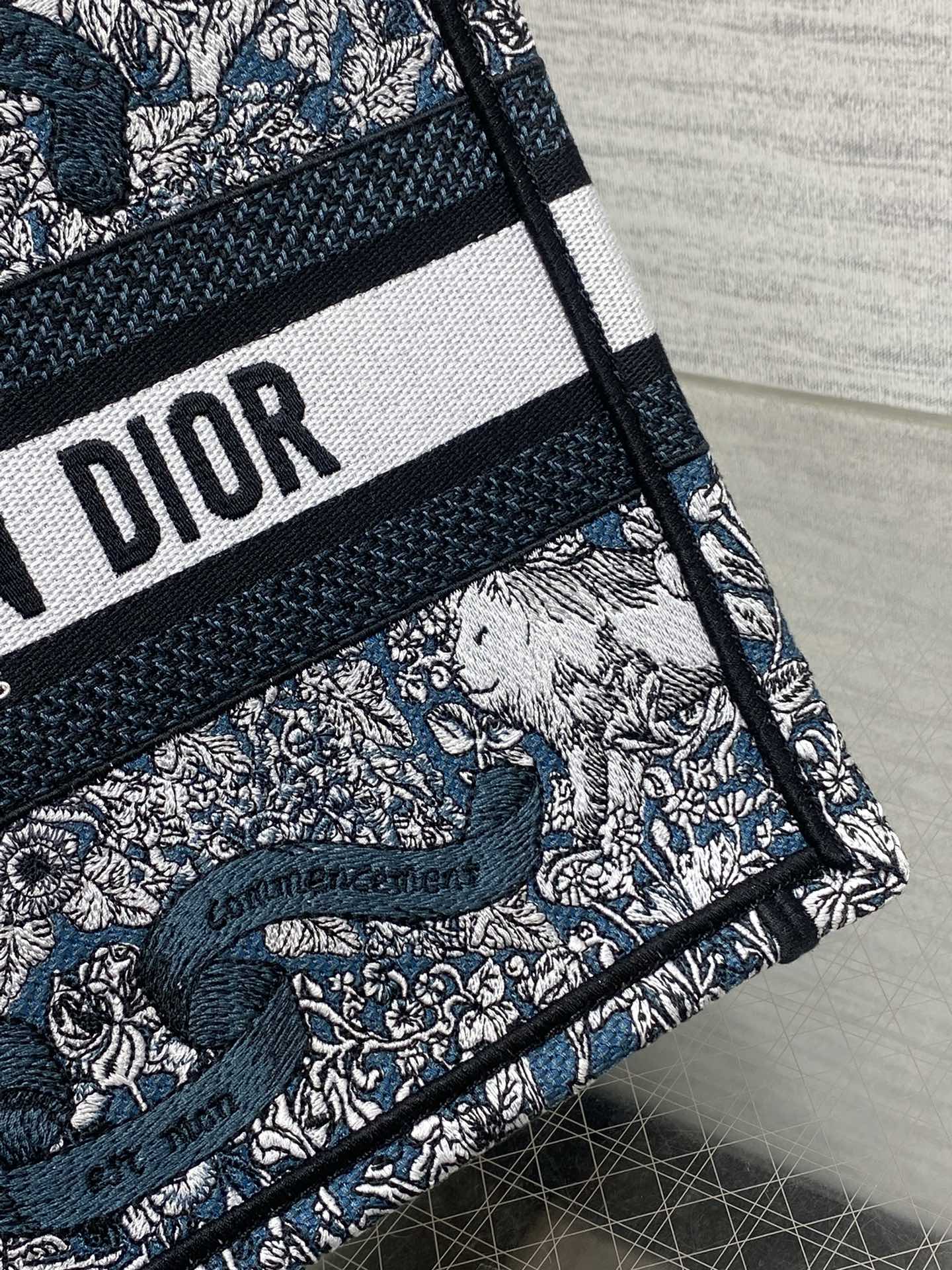 BAG-DIOR-W-LY-845