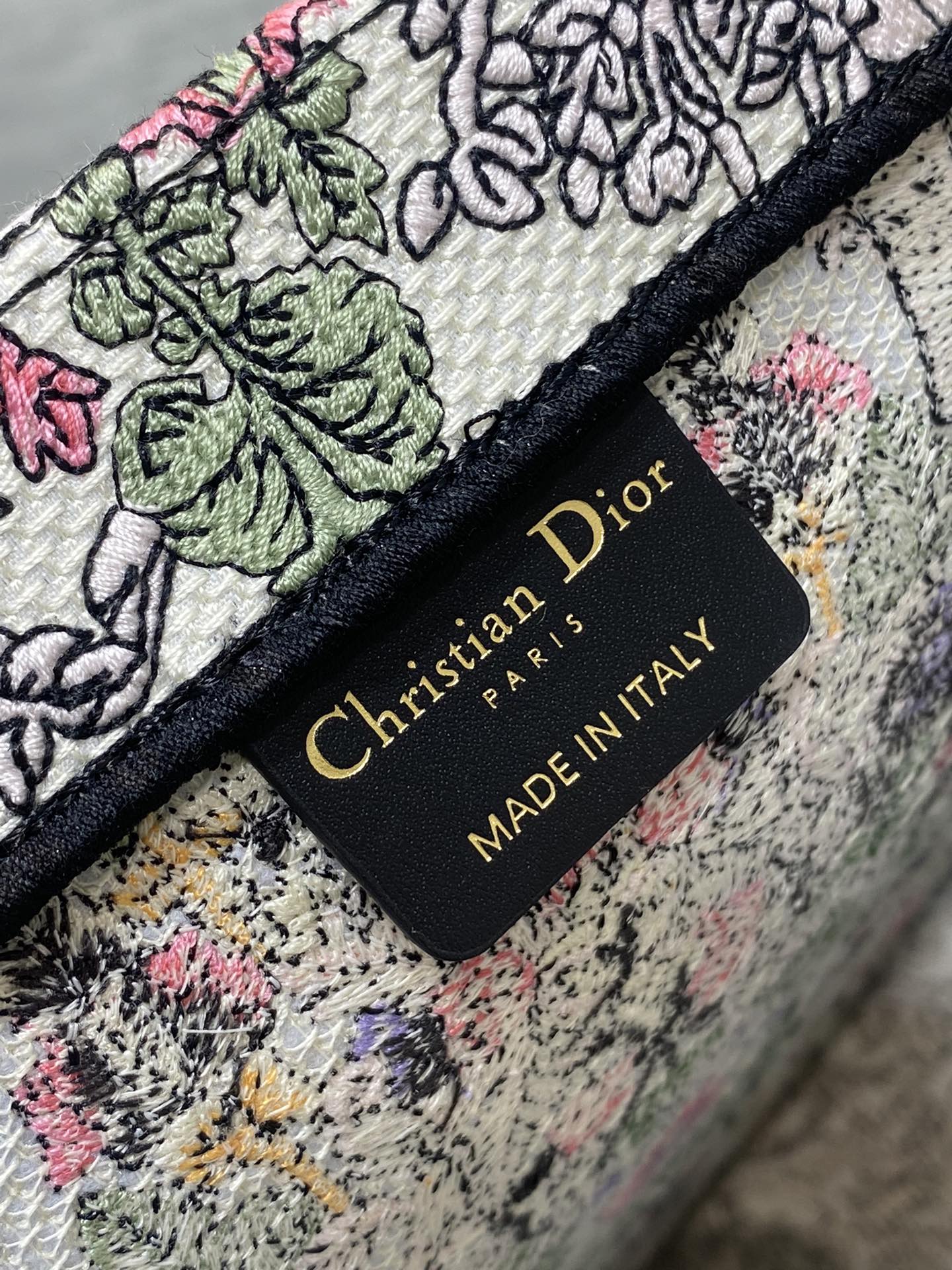 BAG-DIOR-W-LY-843
