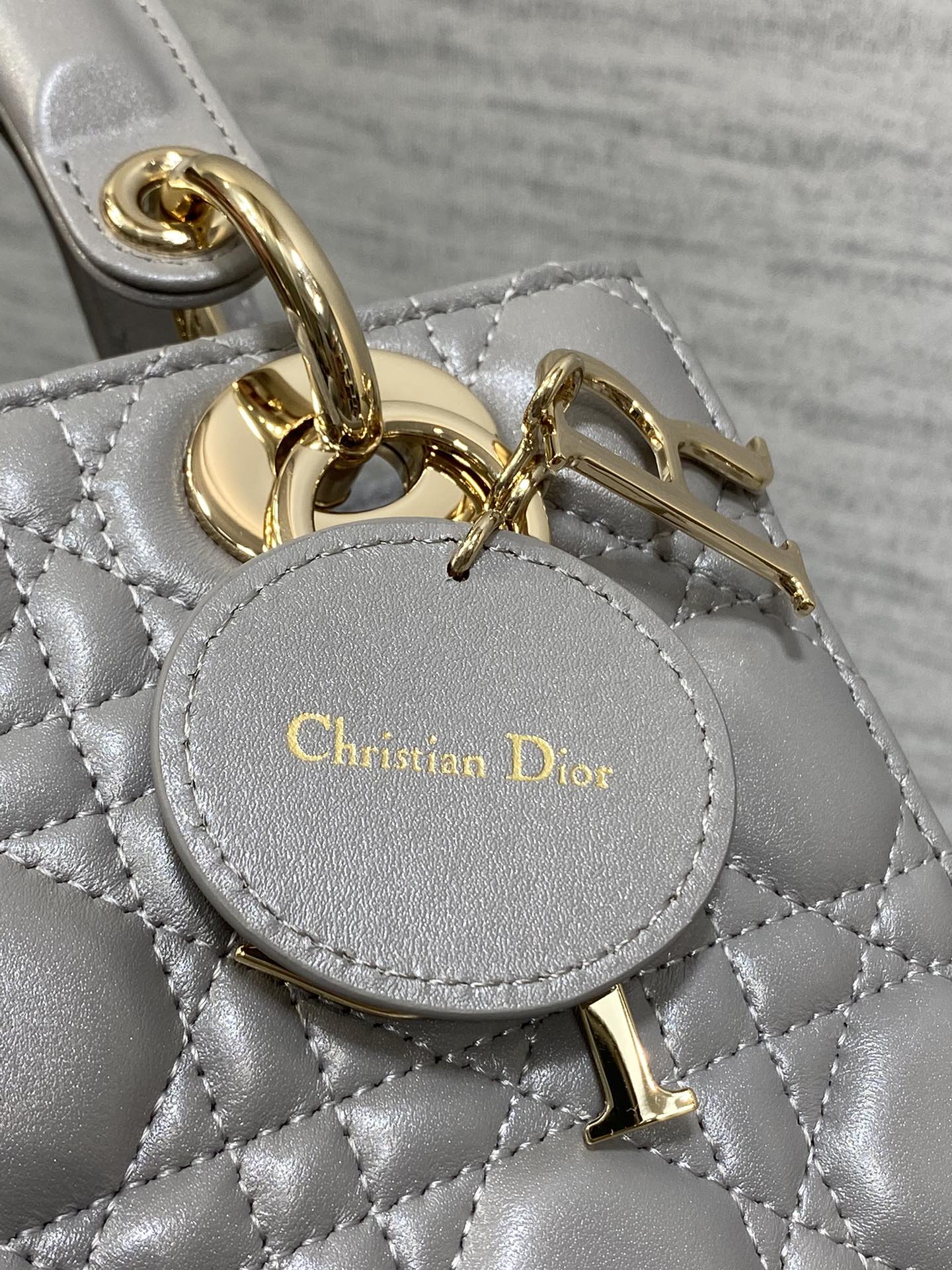 BAG-DIOR-W-LY-770