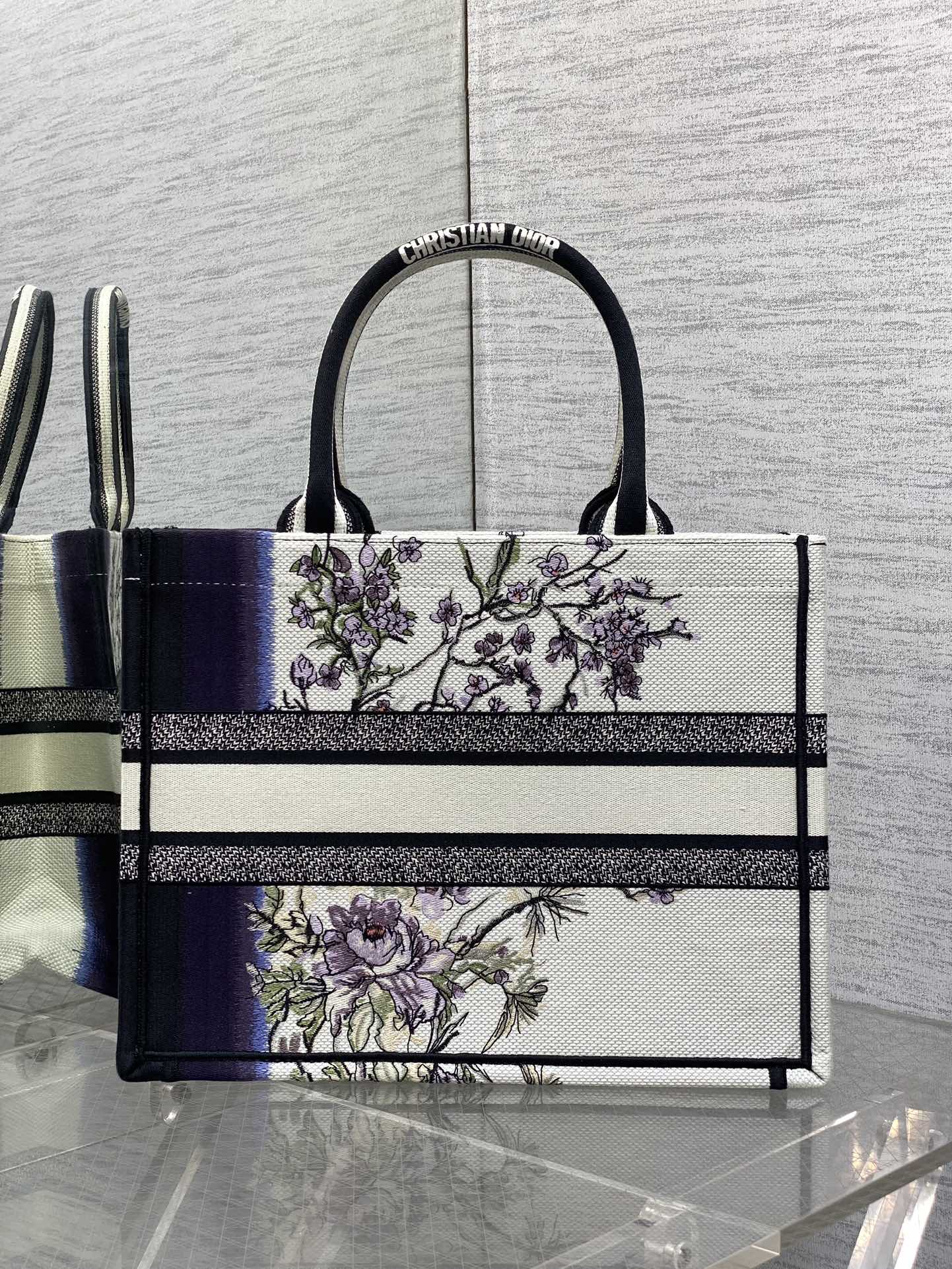 BAG-DIOR-W-LY-205