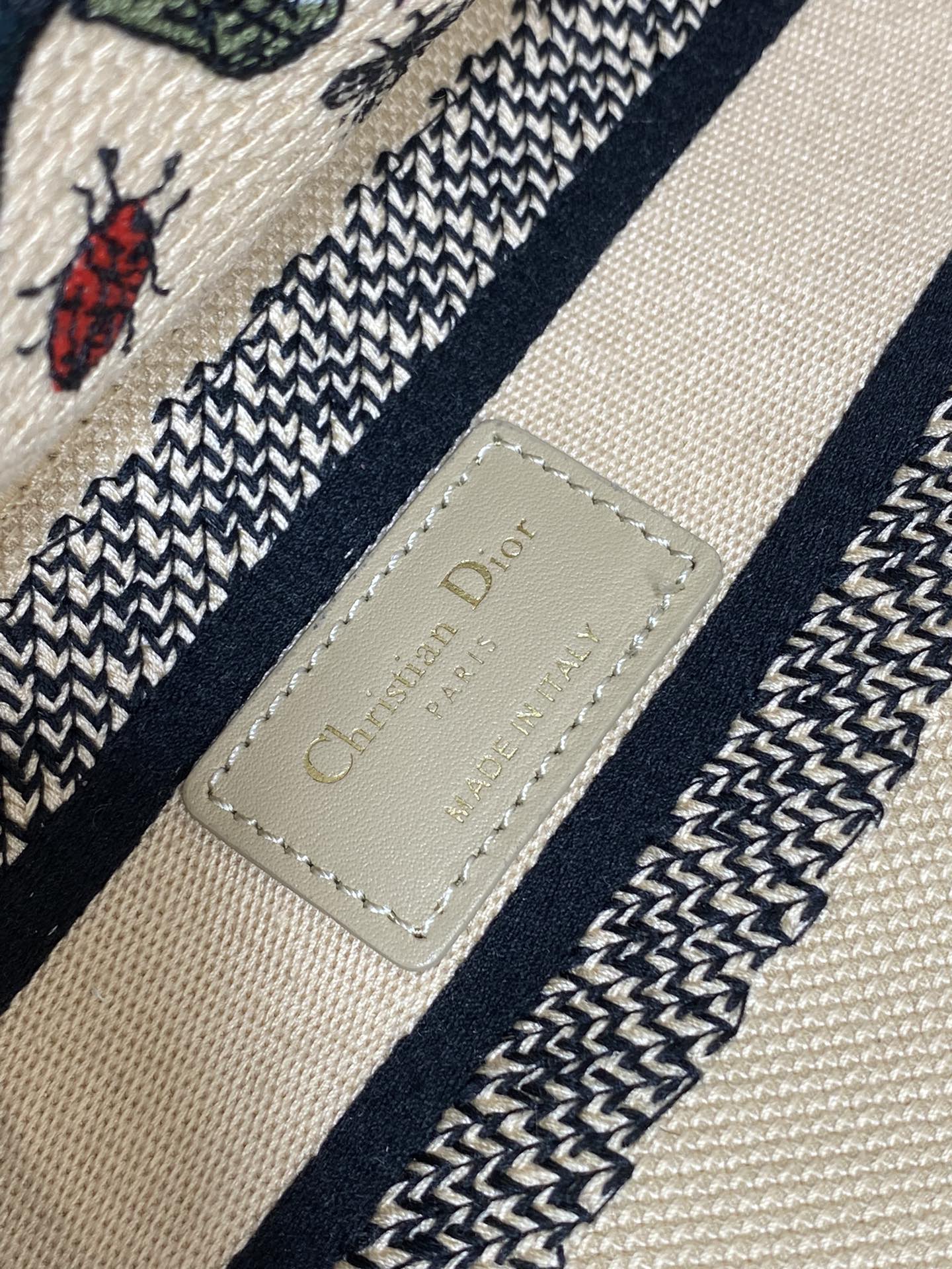 BAG-DIOR-W-LY-502