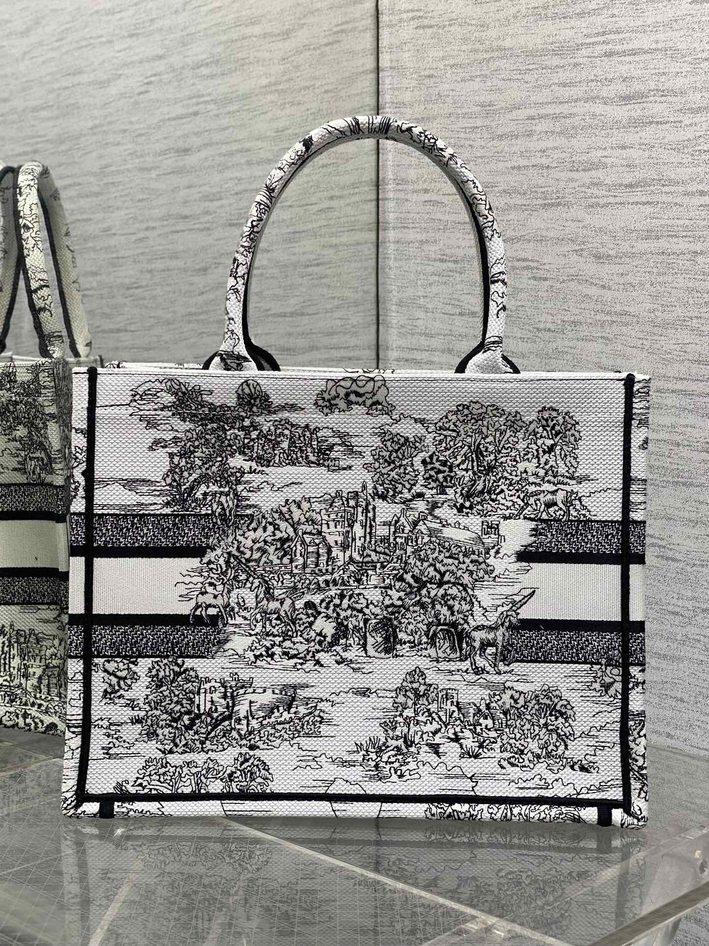 BAG-DIOR-W-LY-863
