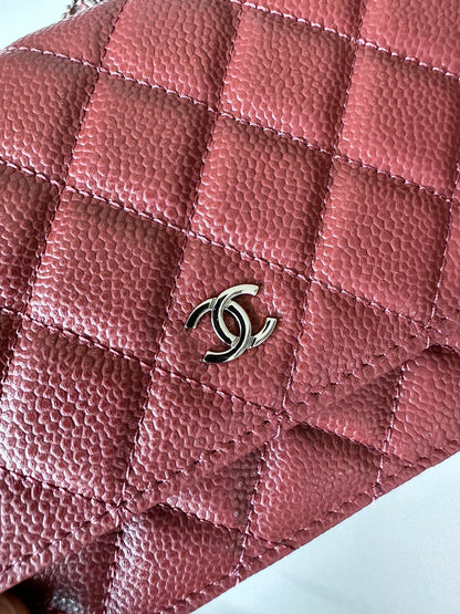 BAG-CHANEL-528