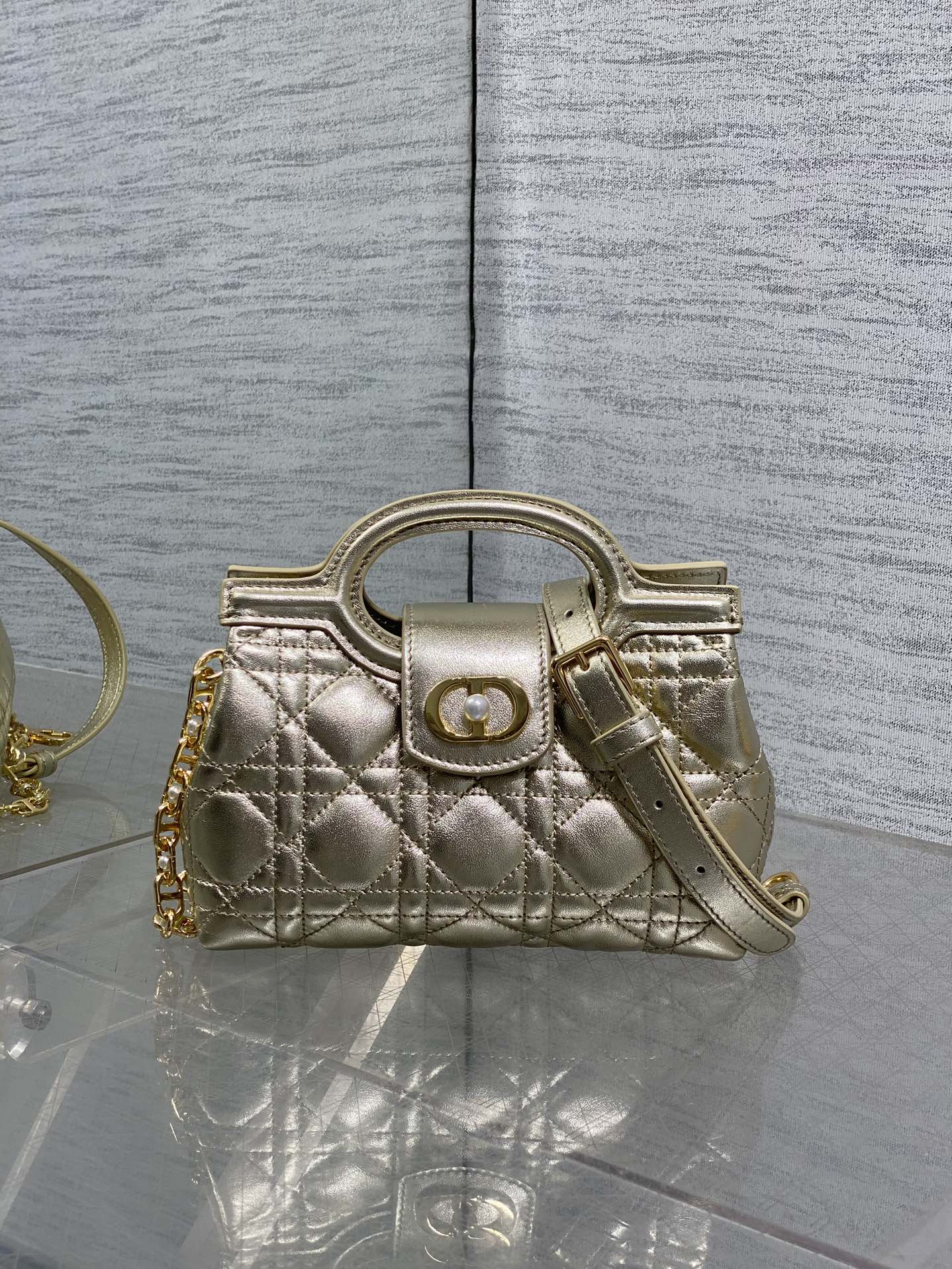 BAG-DIOR-W-LY-026