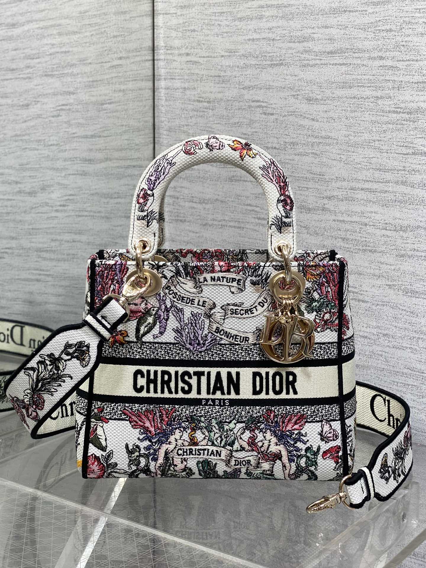 BAG-DIOR-W-LY-512