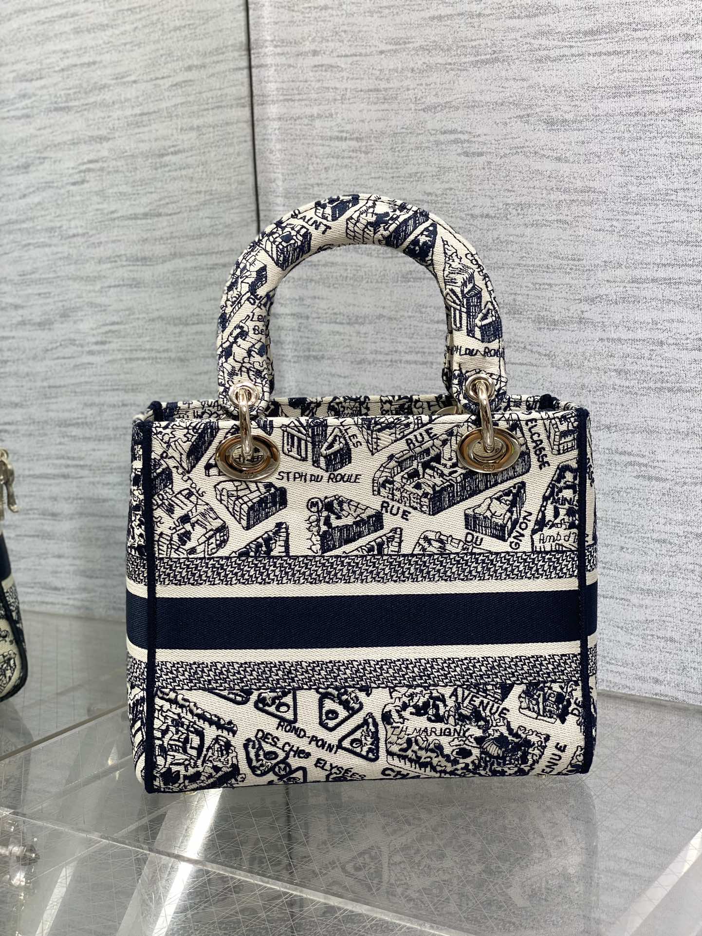 BAG-DIOR-W-LY-068