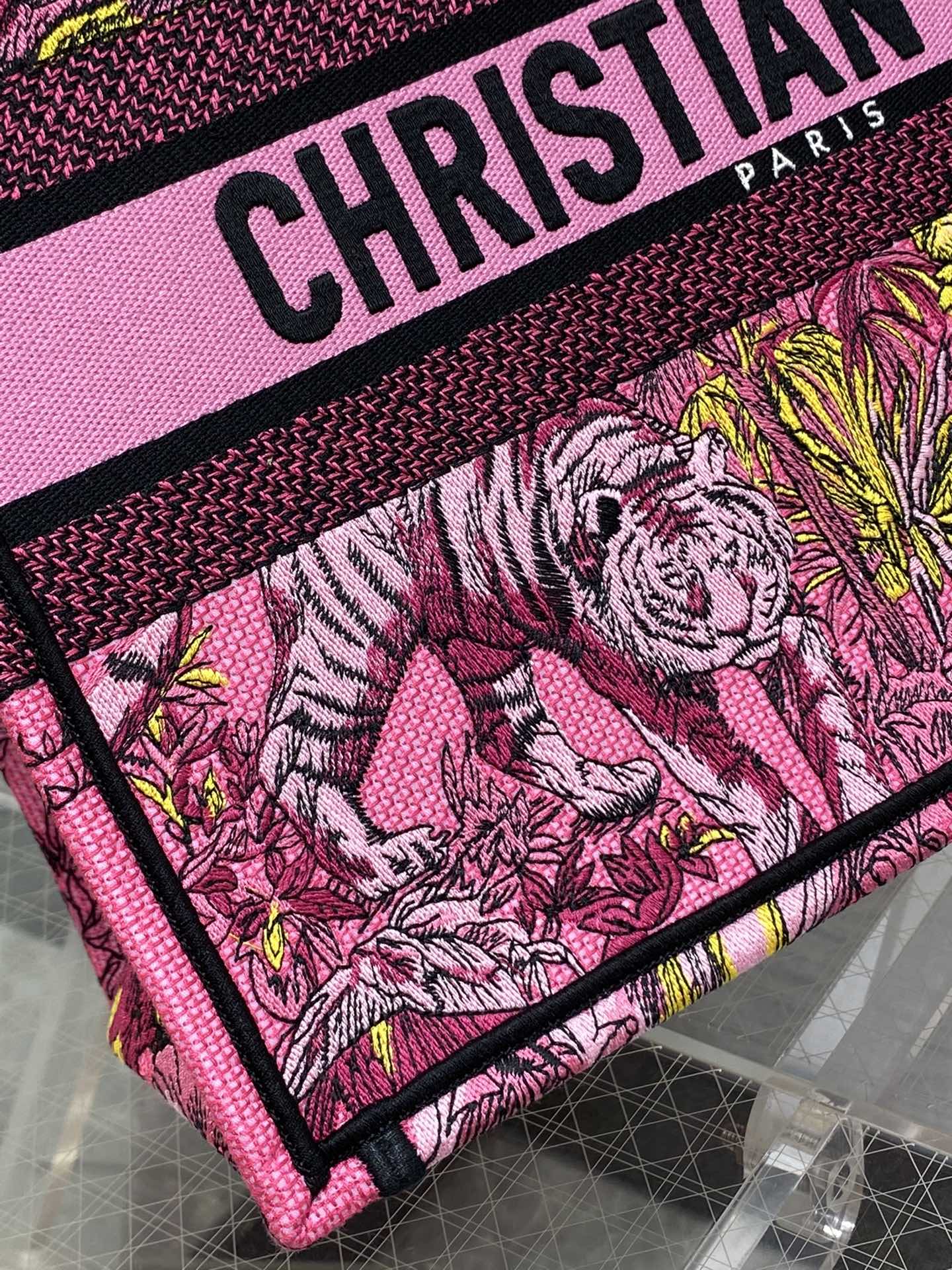 BAG-DIOR-W-LY-866