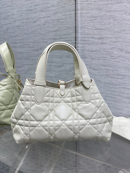 BAG-DIOR-W-LY-053
