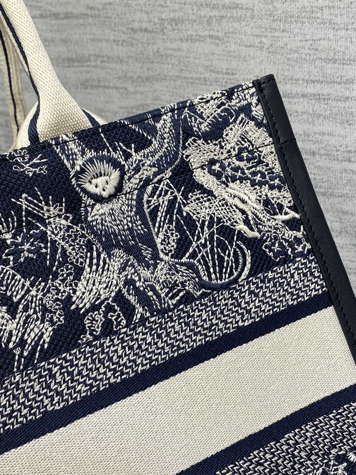 BAG-DIOR-W-LY-868