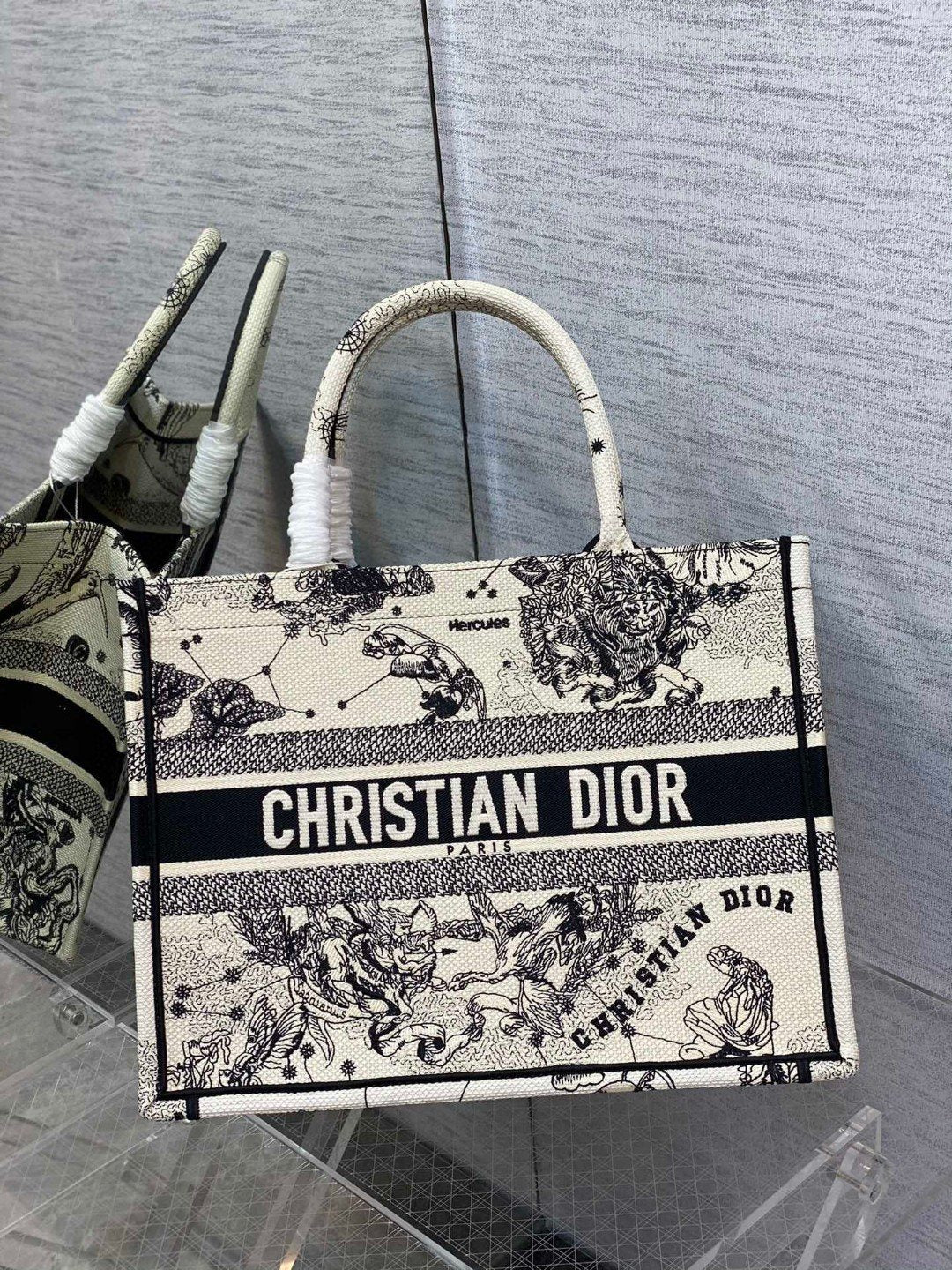 BAG-DIOR-W-LY-903