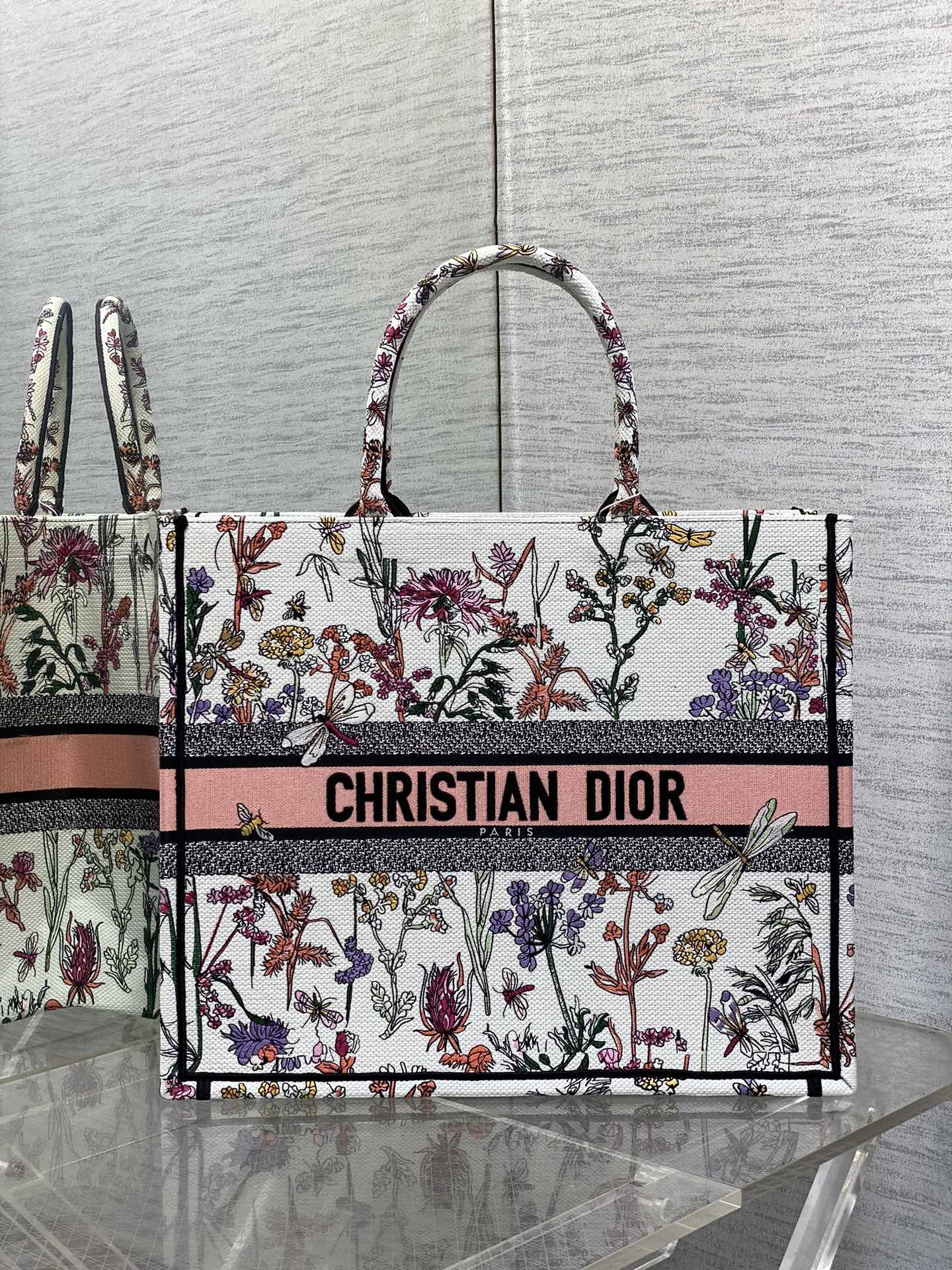 BAG-DIOR-W-LY-827