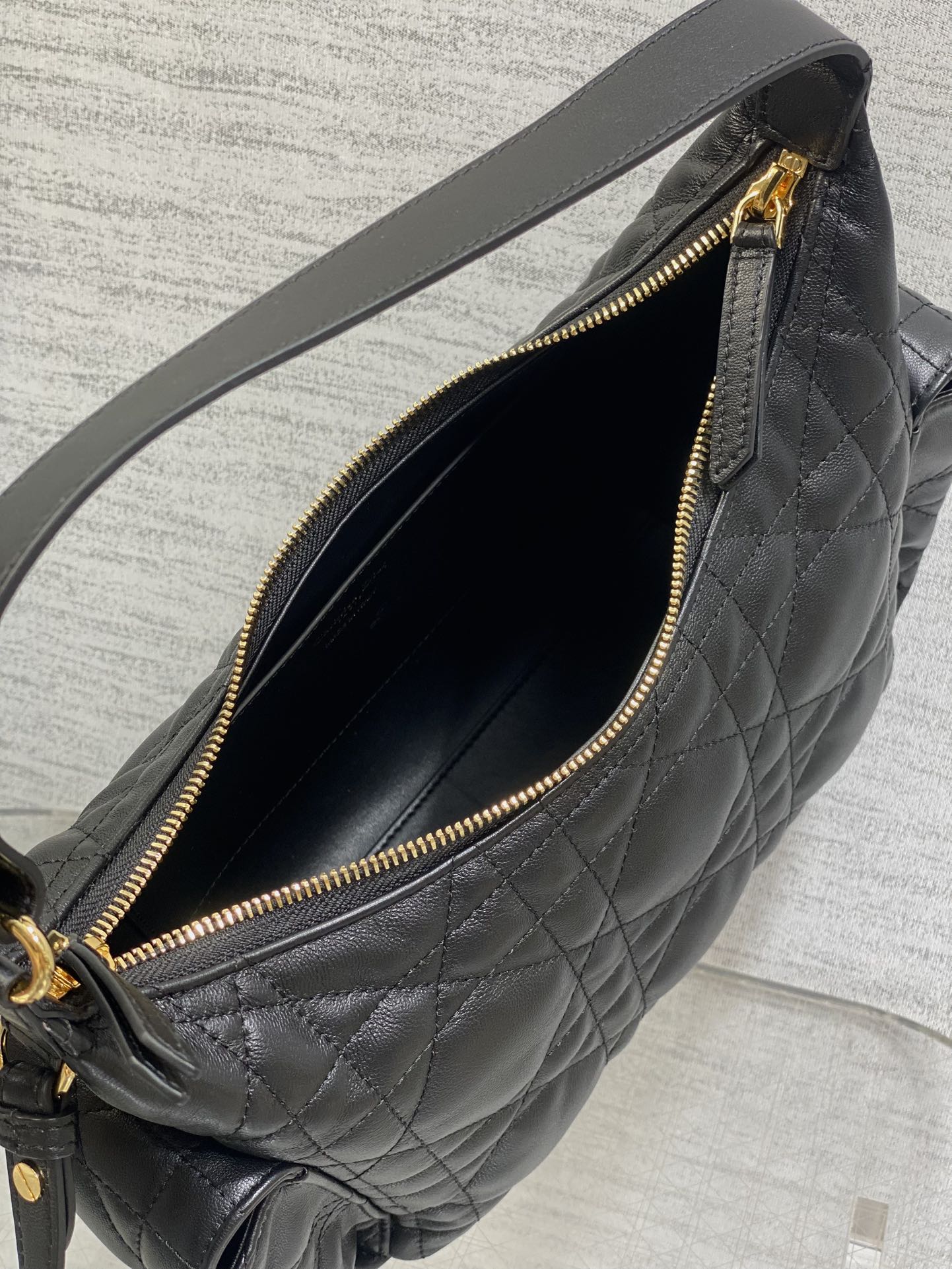 BAG-DIOR-W-LY-050
