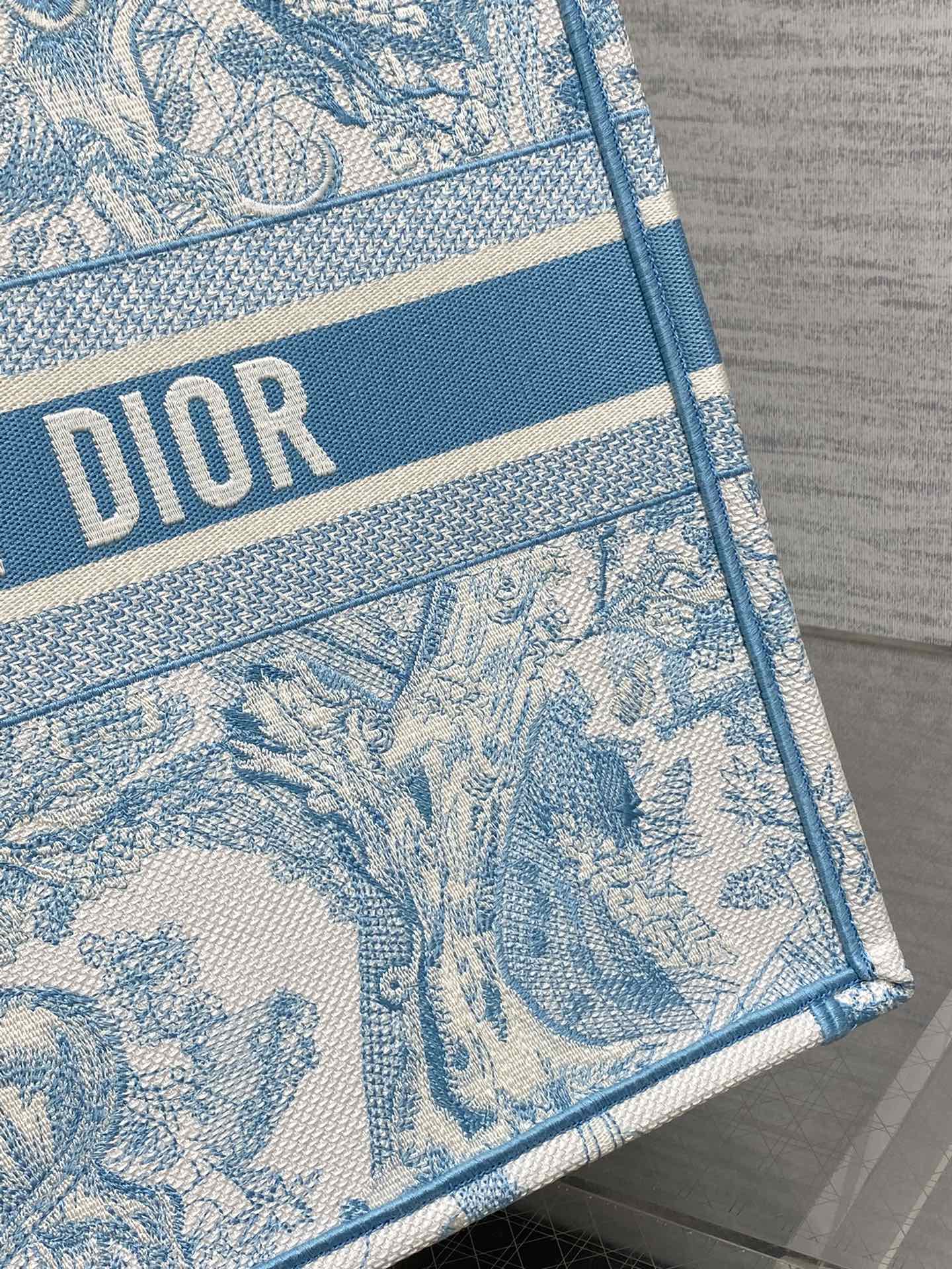 BAG-DIOR-W-LY-934