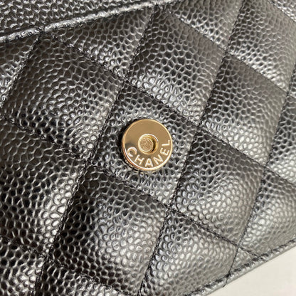 BAG-CHANEL-547